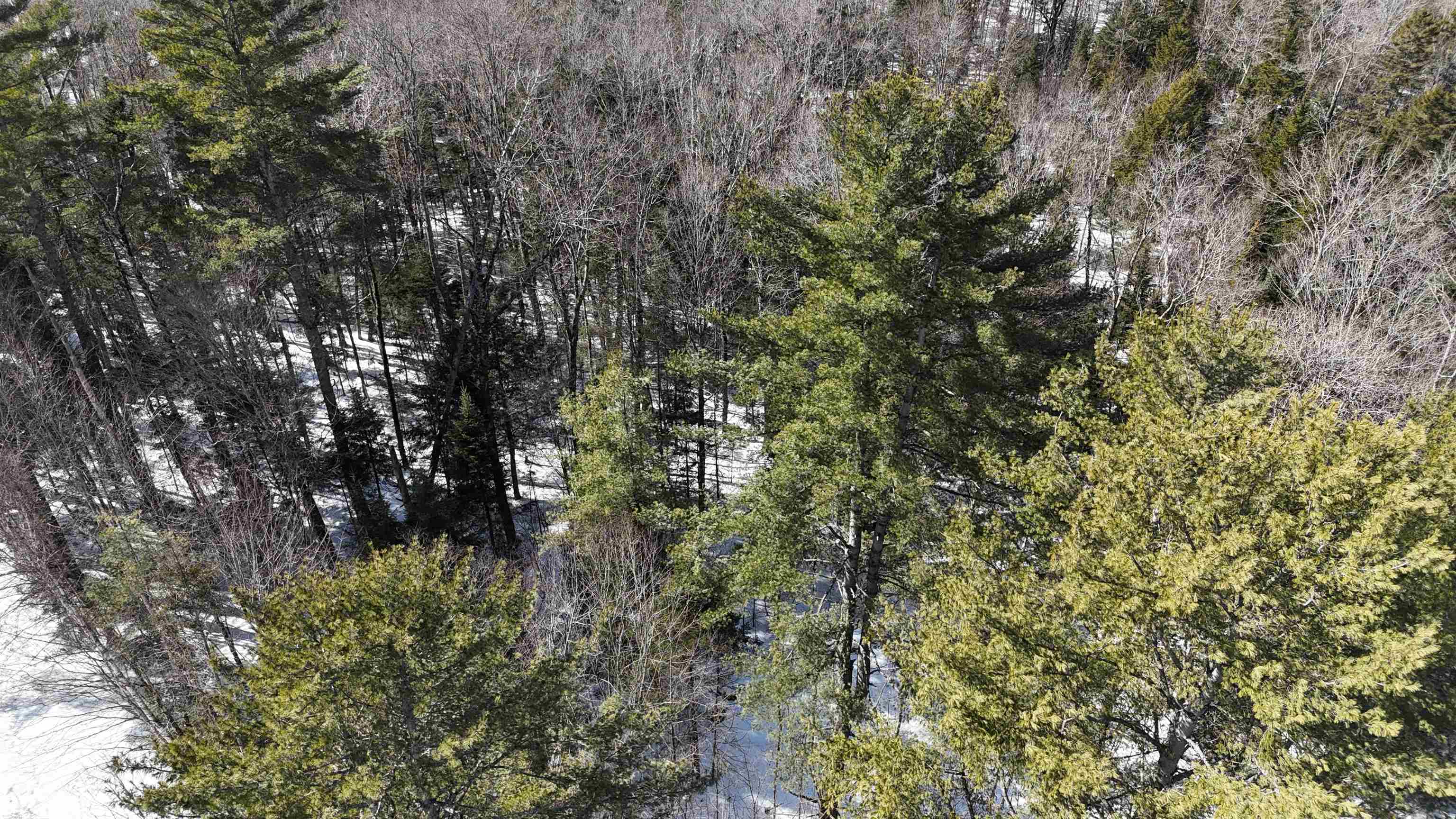 00 Mountain Road Property Photo 23