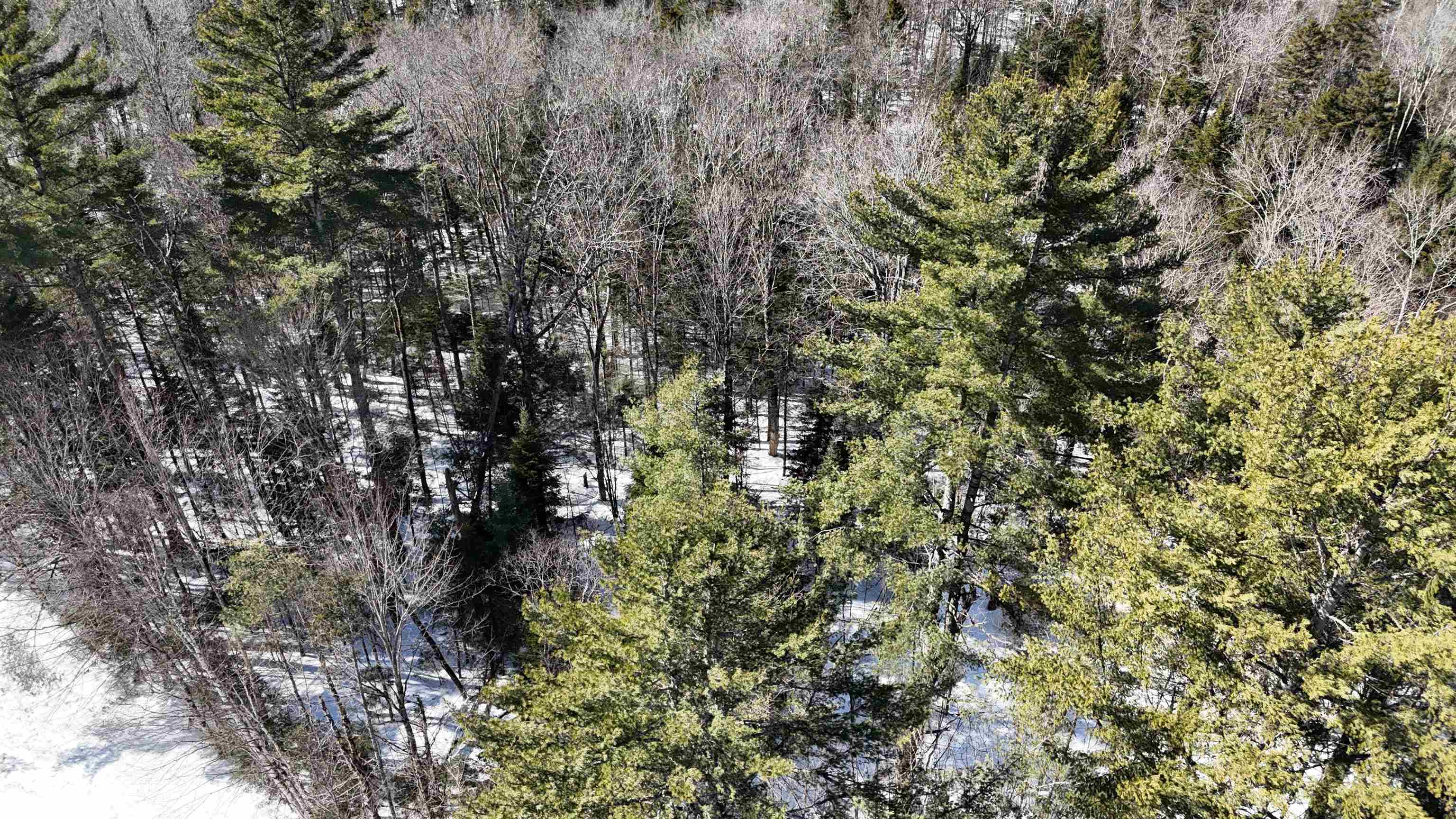 00 Mountain Road Property Photo 25