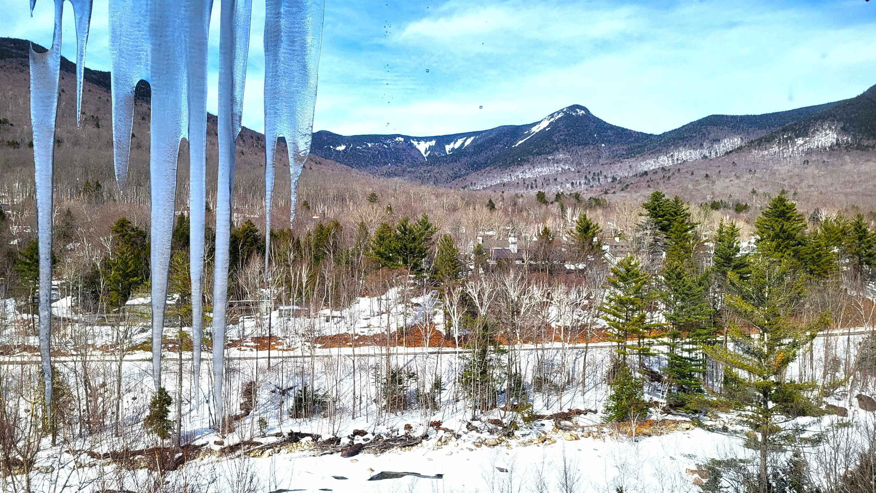 90 Loon Mountain Road Property Photo 12