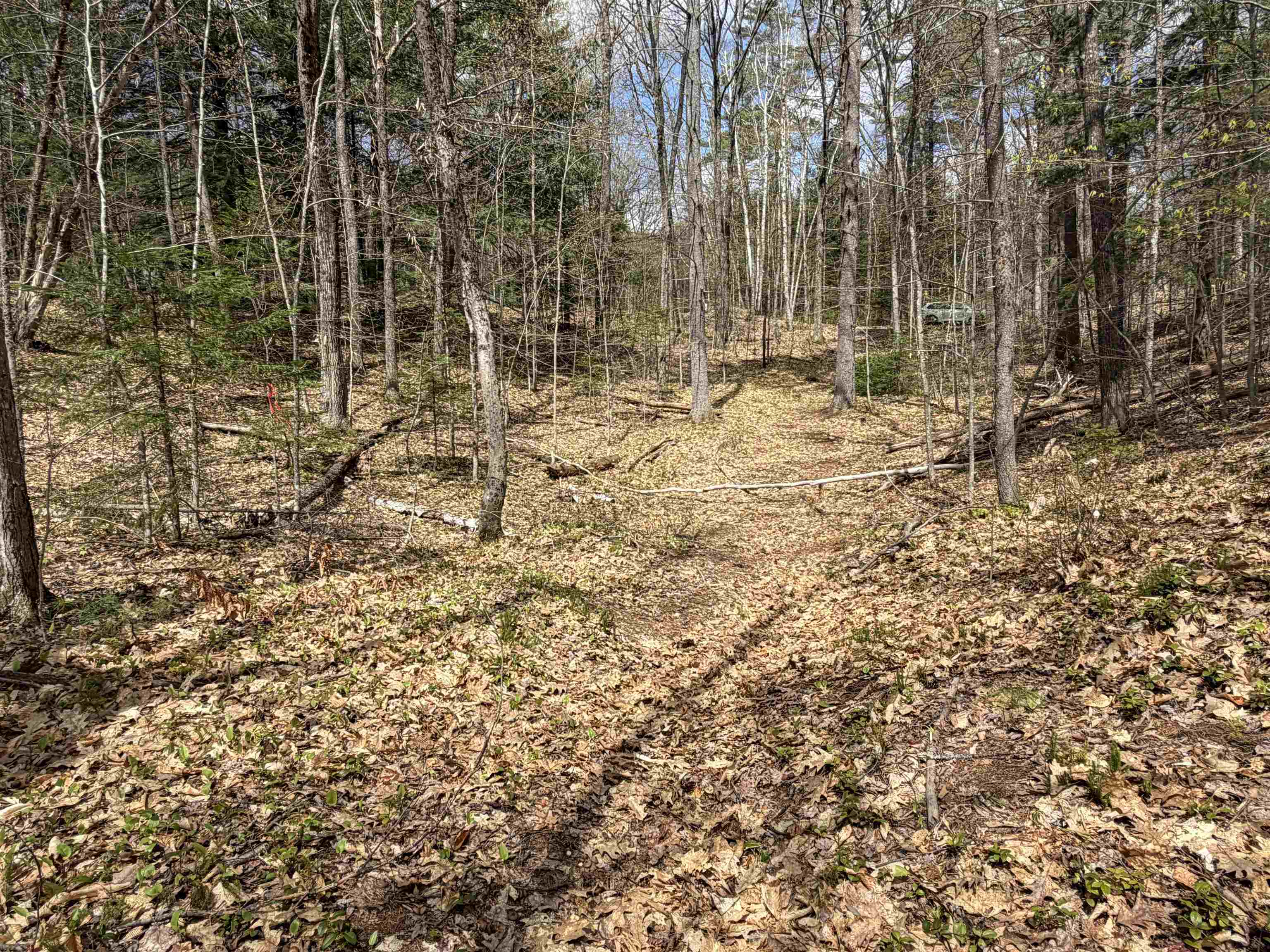 0 Beard Lane Property Photo 7