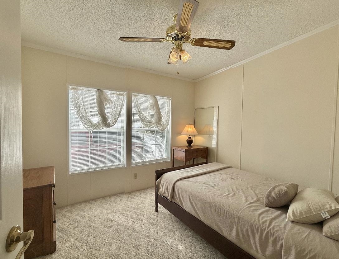10 Timothy Drive Property Photo 10