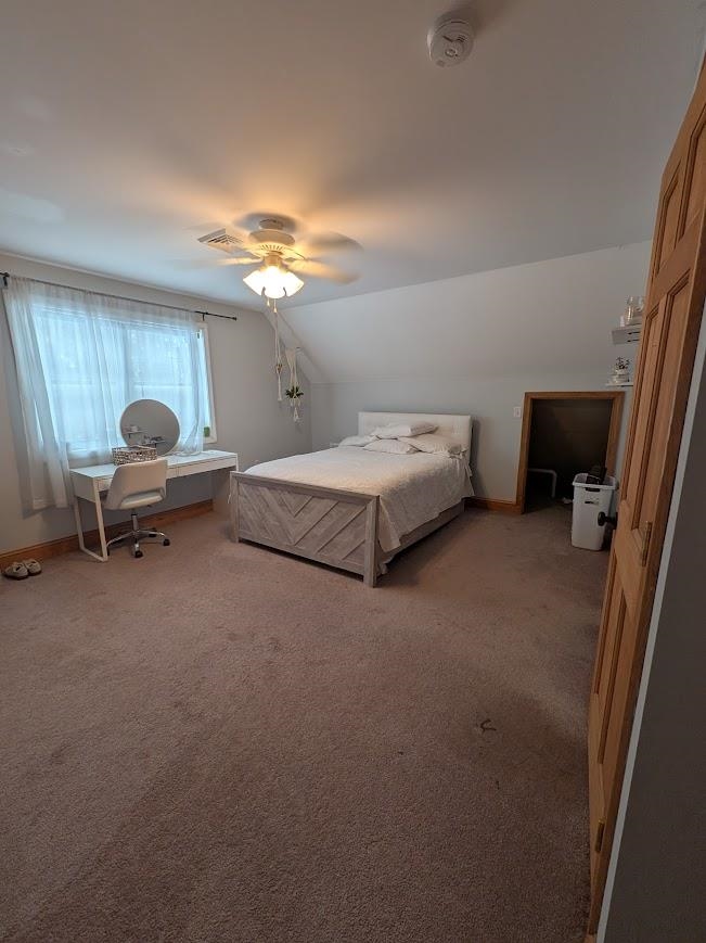 60 Chichester Road Property Photo 11