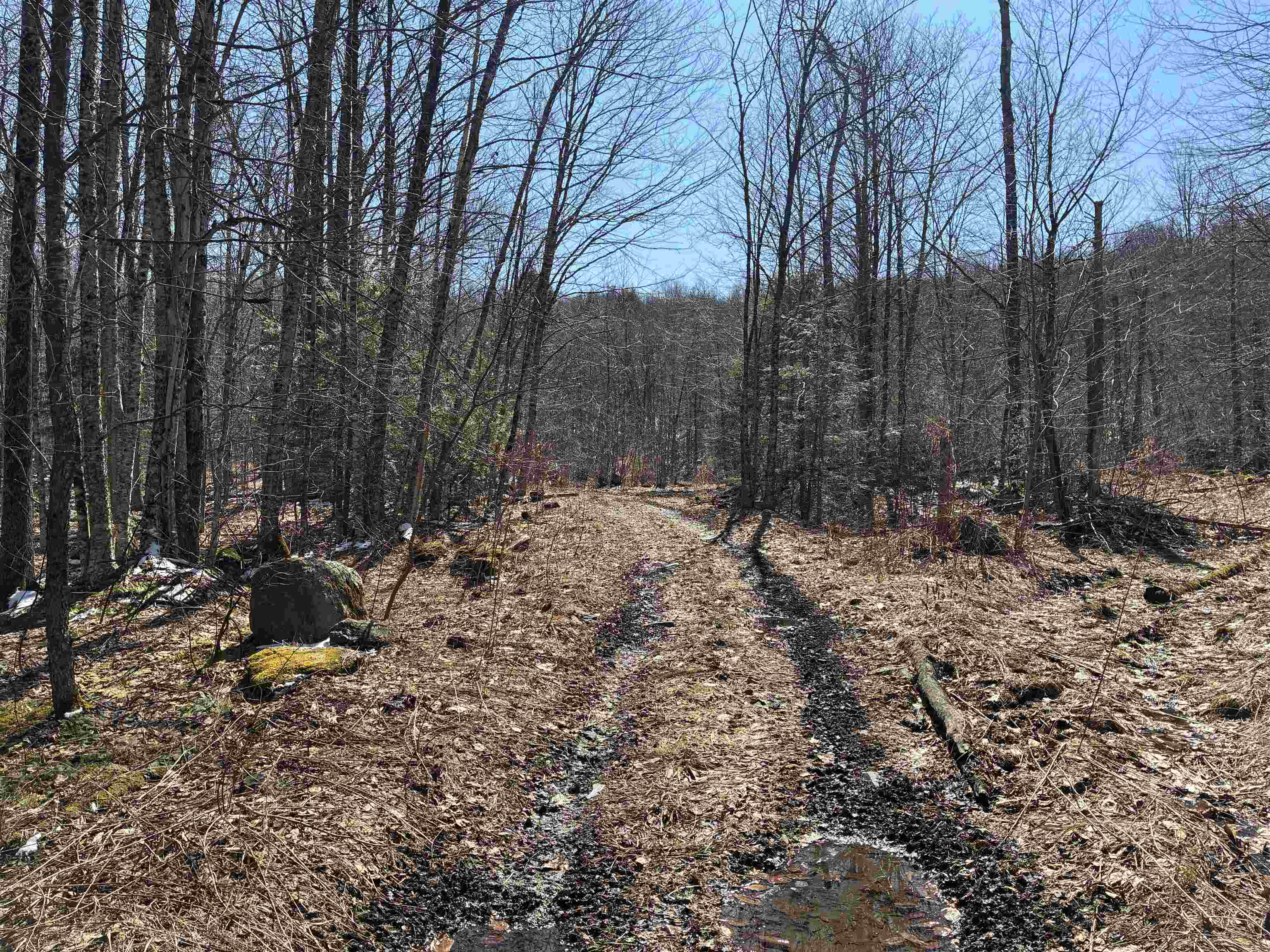 Lot 1 Marshall Road Property Photo 1