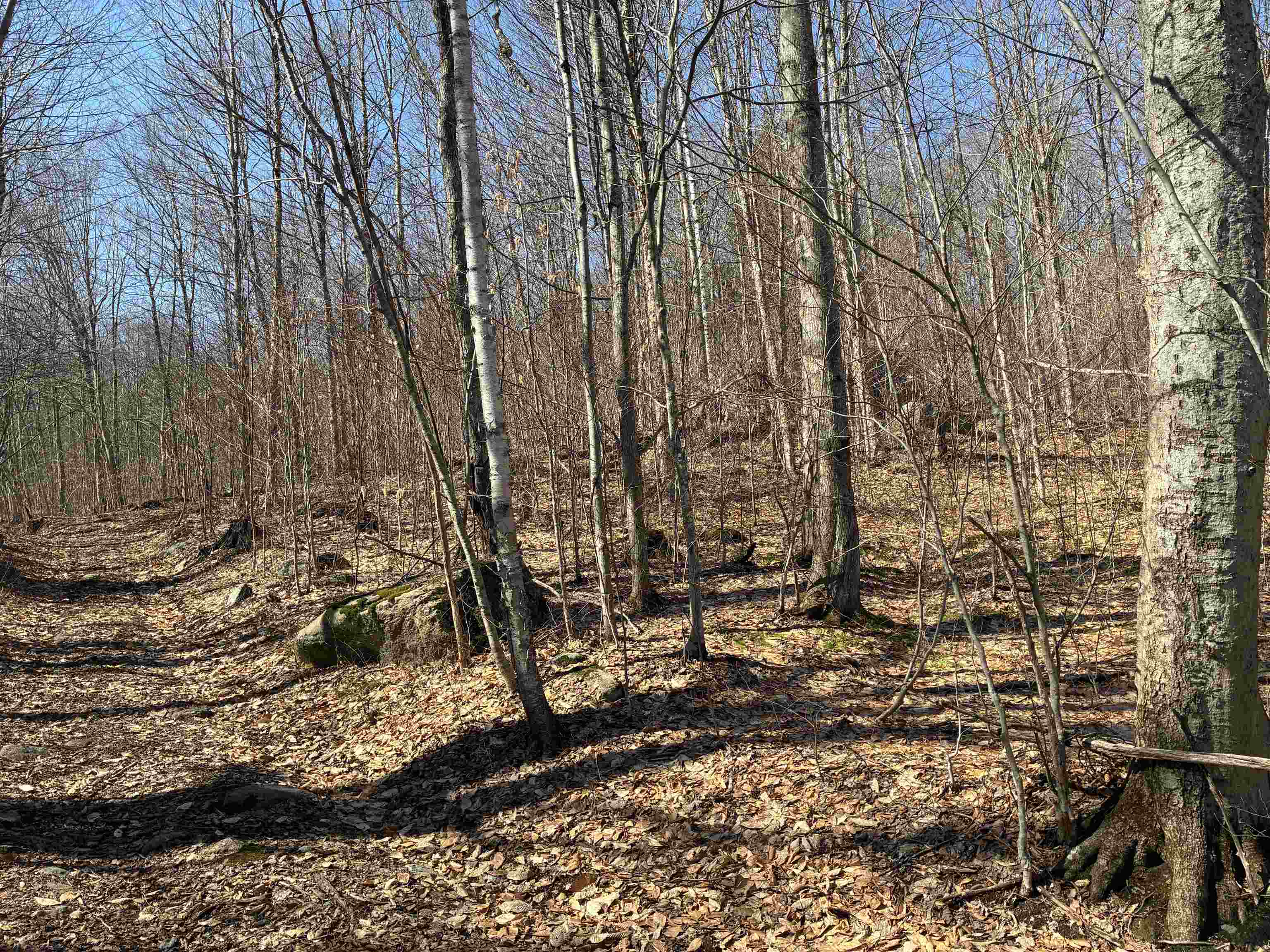 Lot 1 Marshall Road Property Photo 4