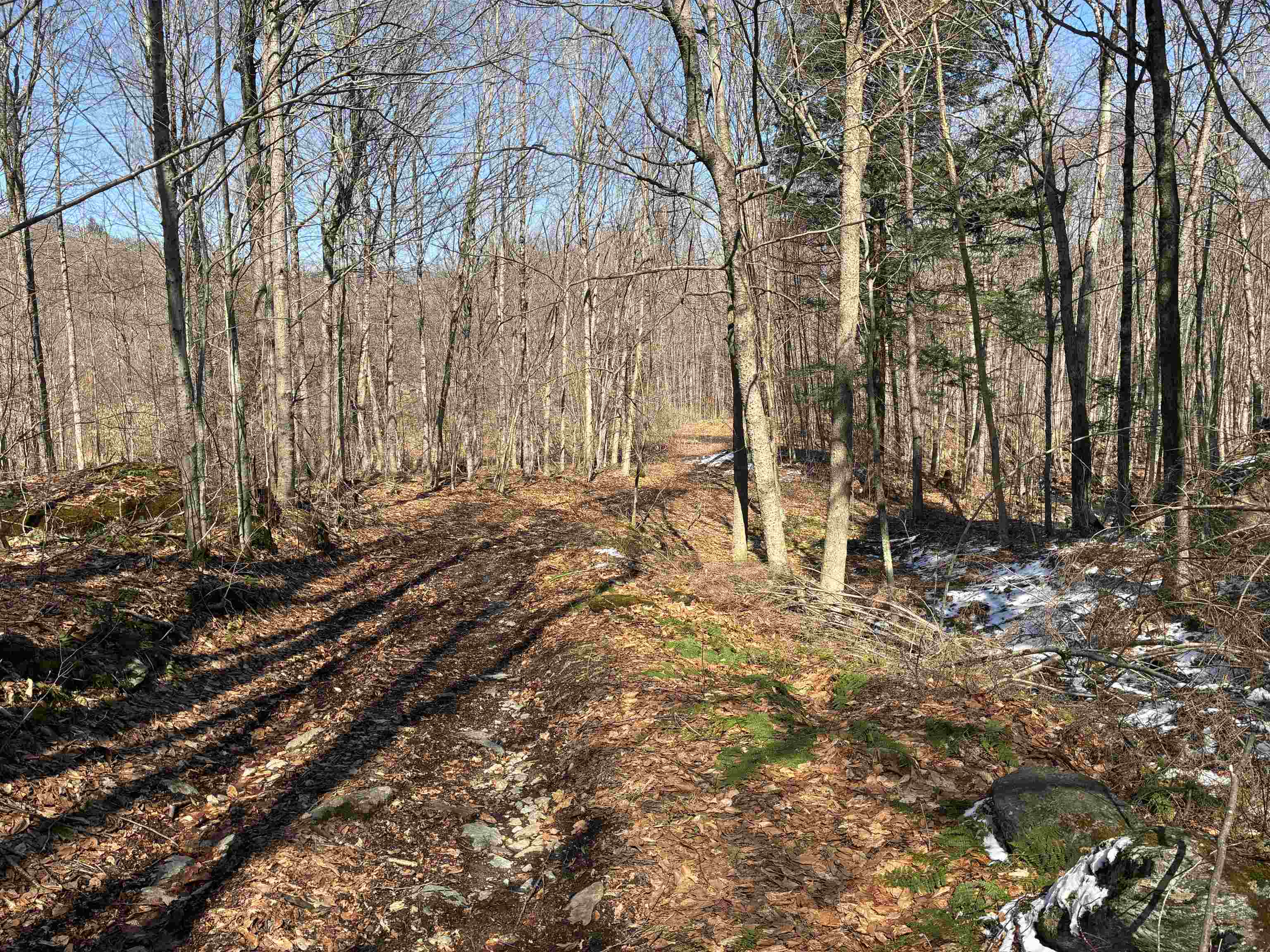 Lot 1 Marshall Road Property Photo 5