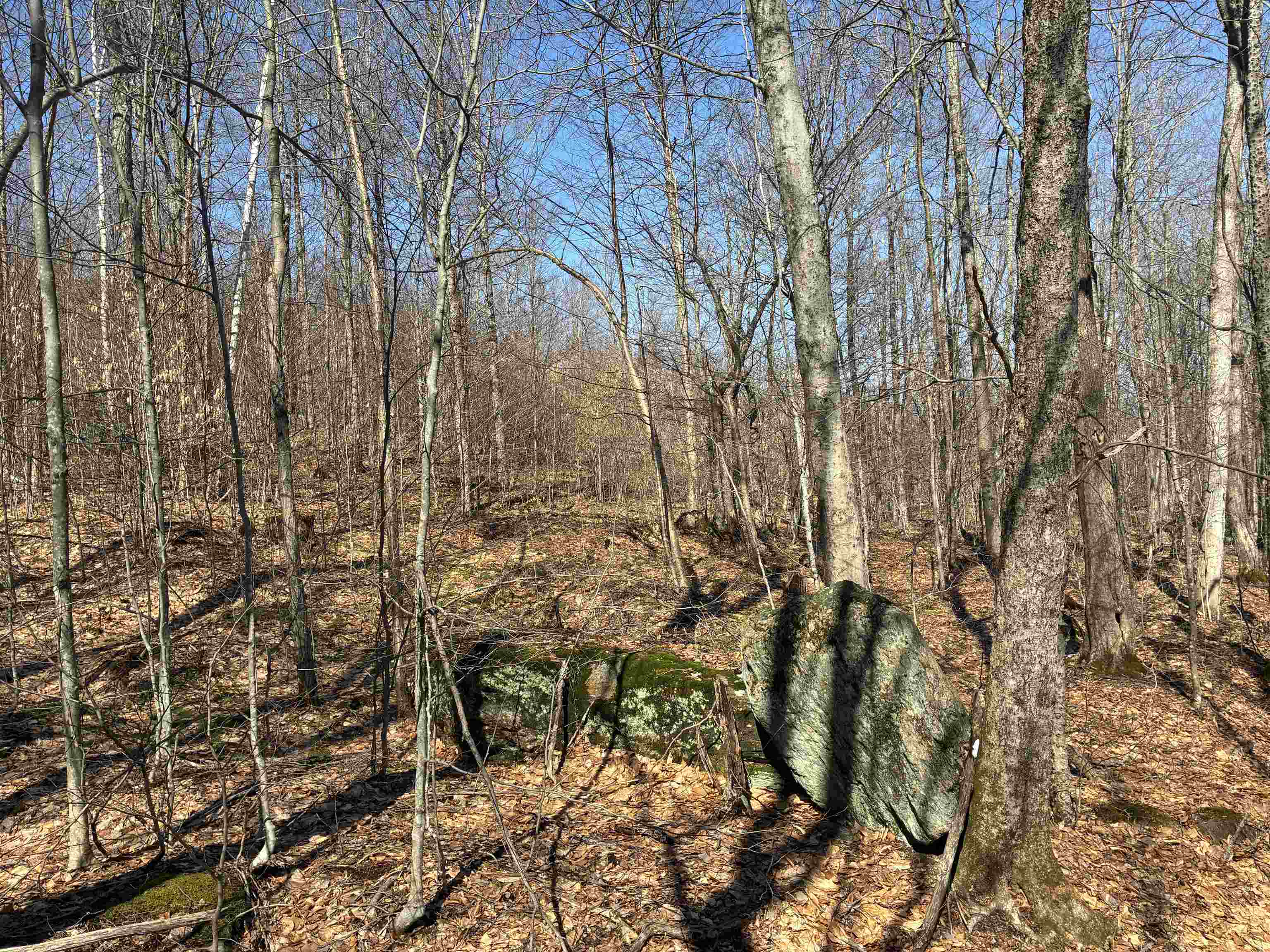 Lot 1 Marshall Road Property Photo 9
