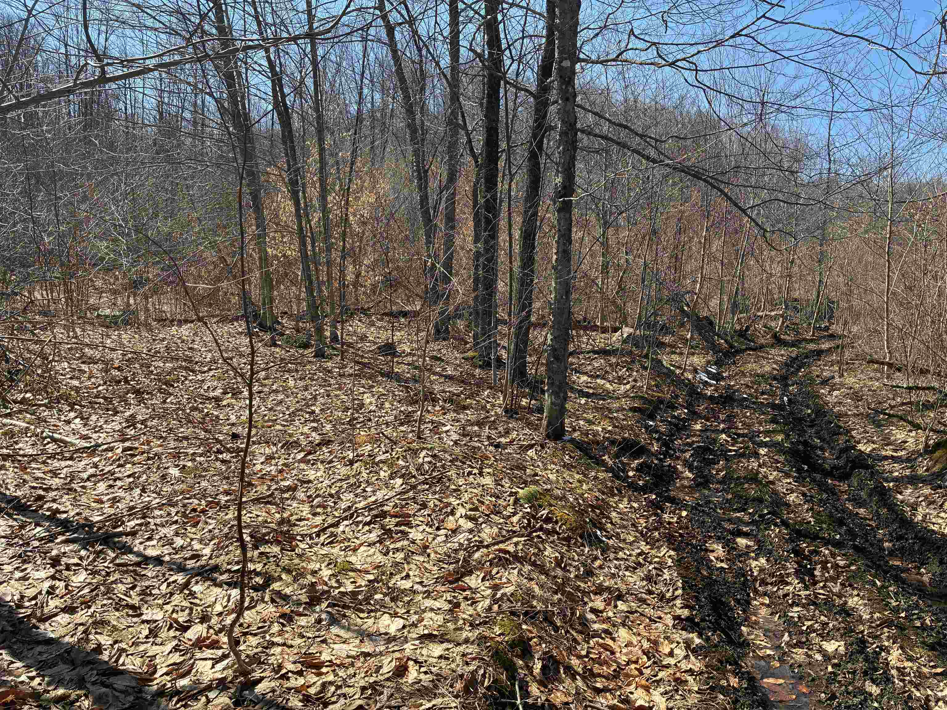 Lot 1 Marshall Road Property Photo 11