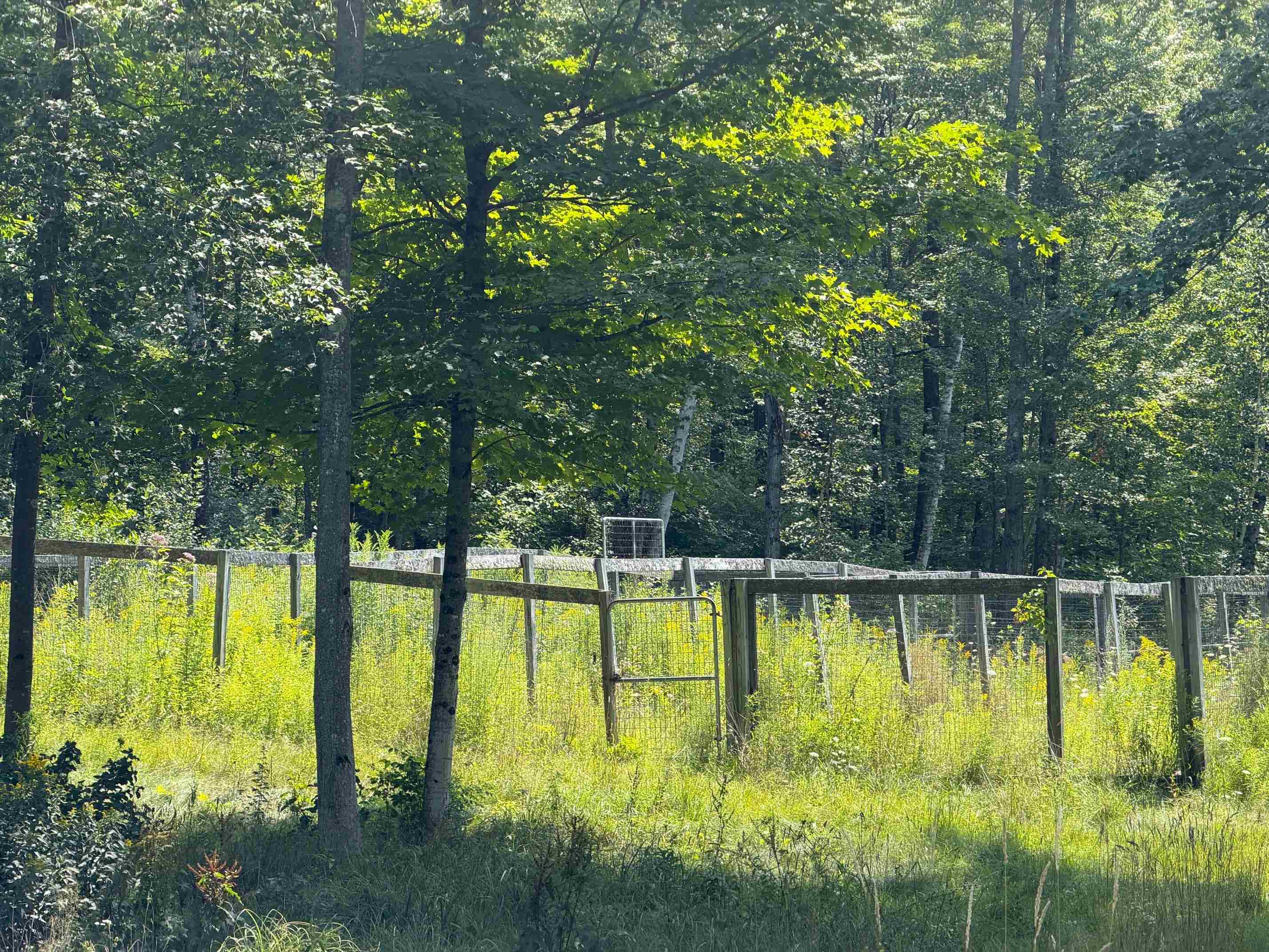116 Smith Pond Road Property Photo 8