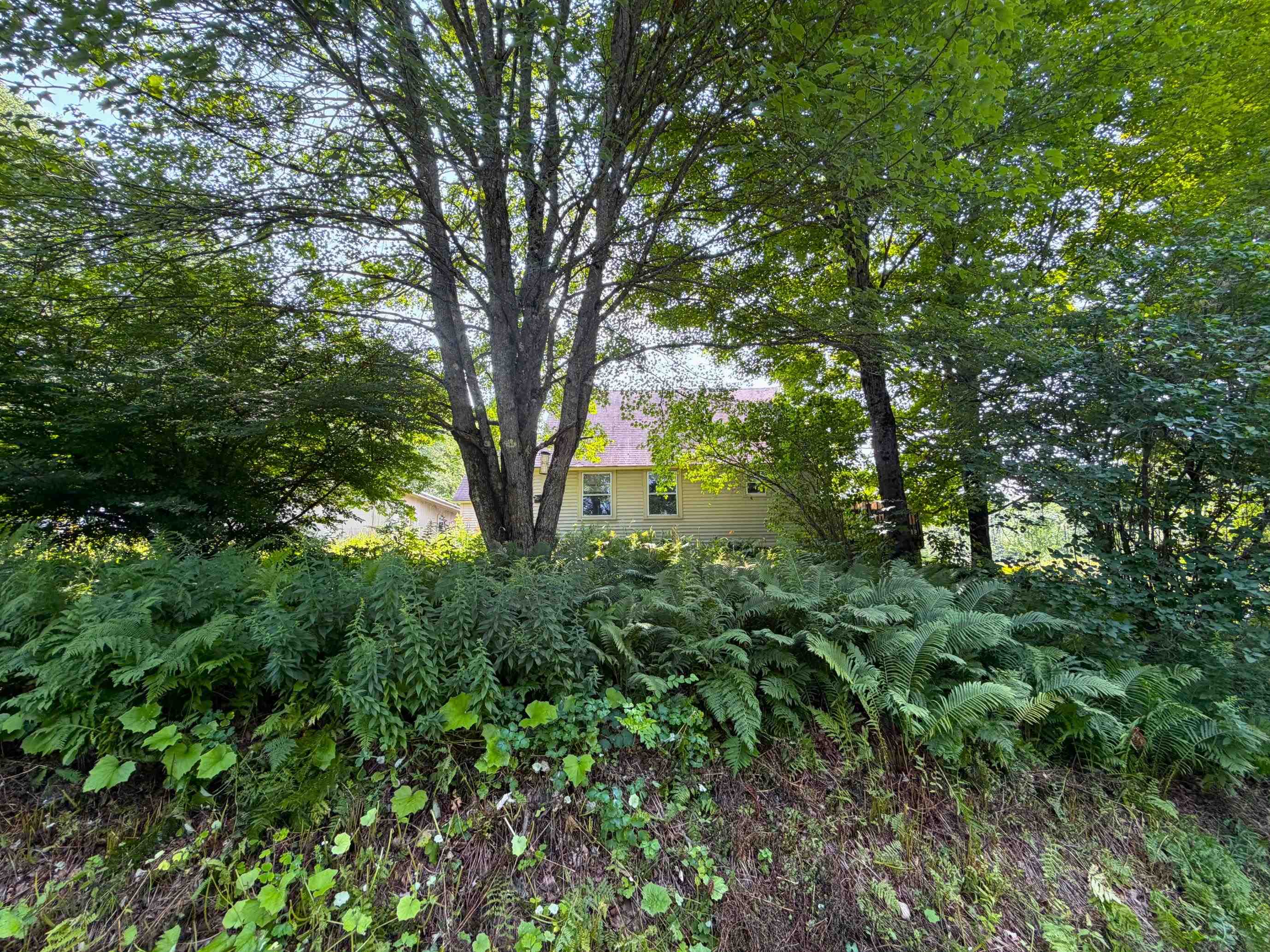 116 Smith Pond Road Property Photo 21