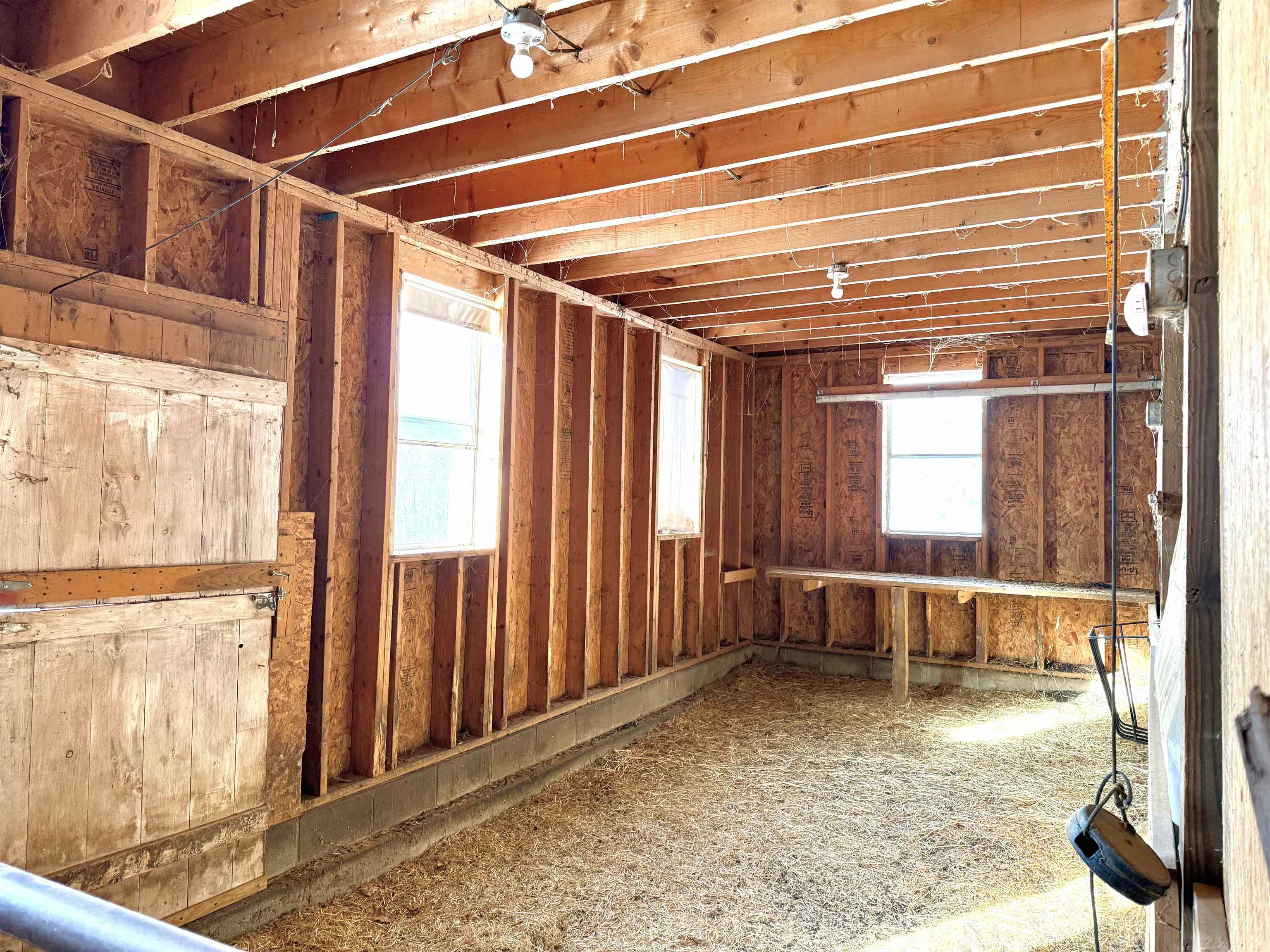 4205 Route 131 Property Photo 20