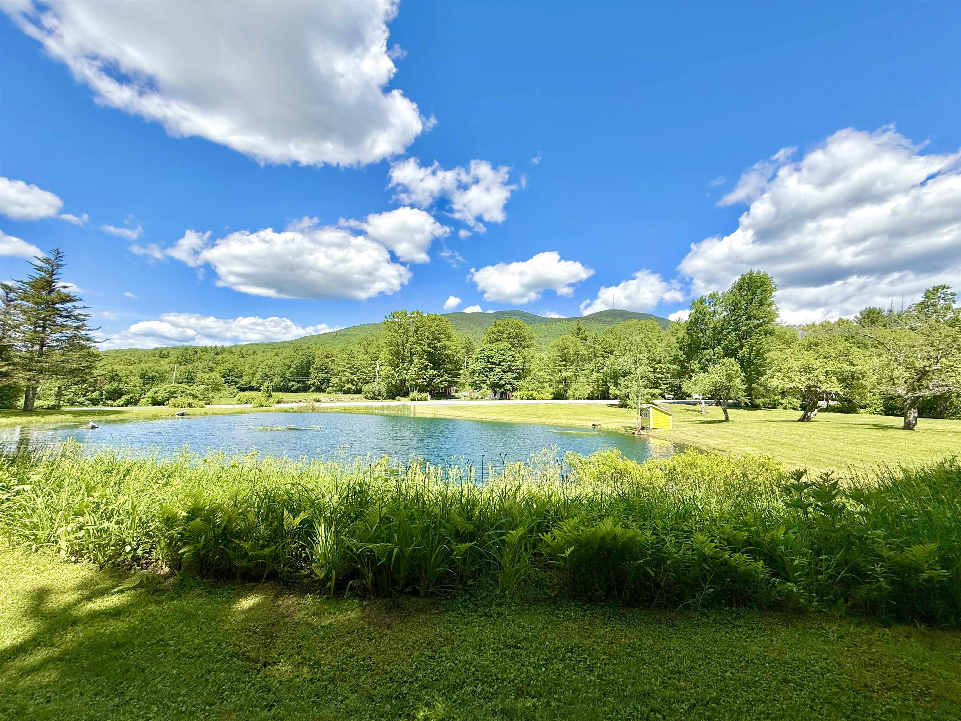 4205 Route 131 Property Photo 22