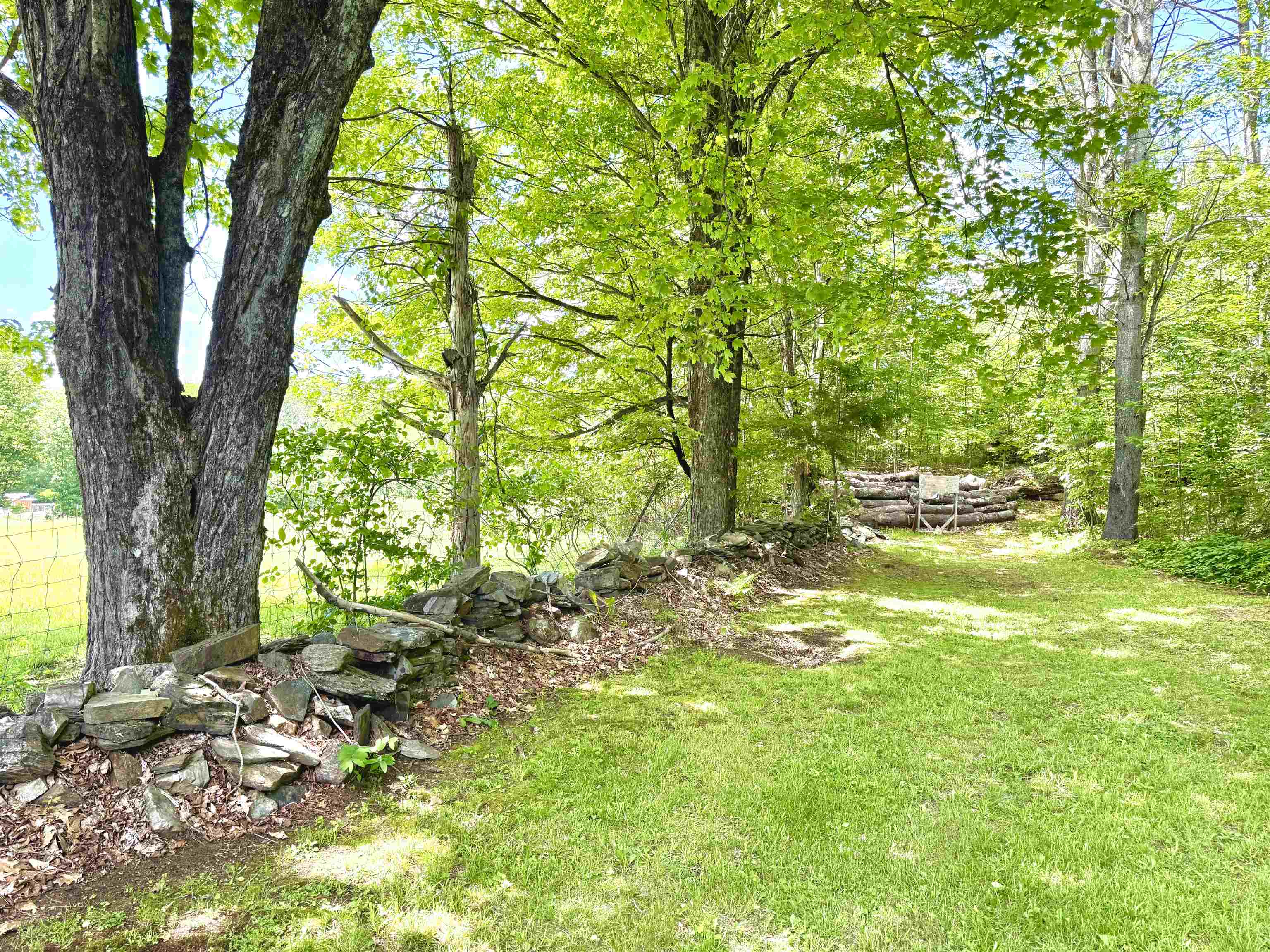 4205 Route 131 Property Photo 29