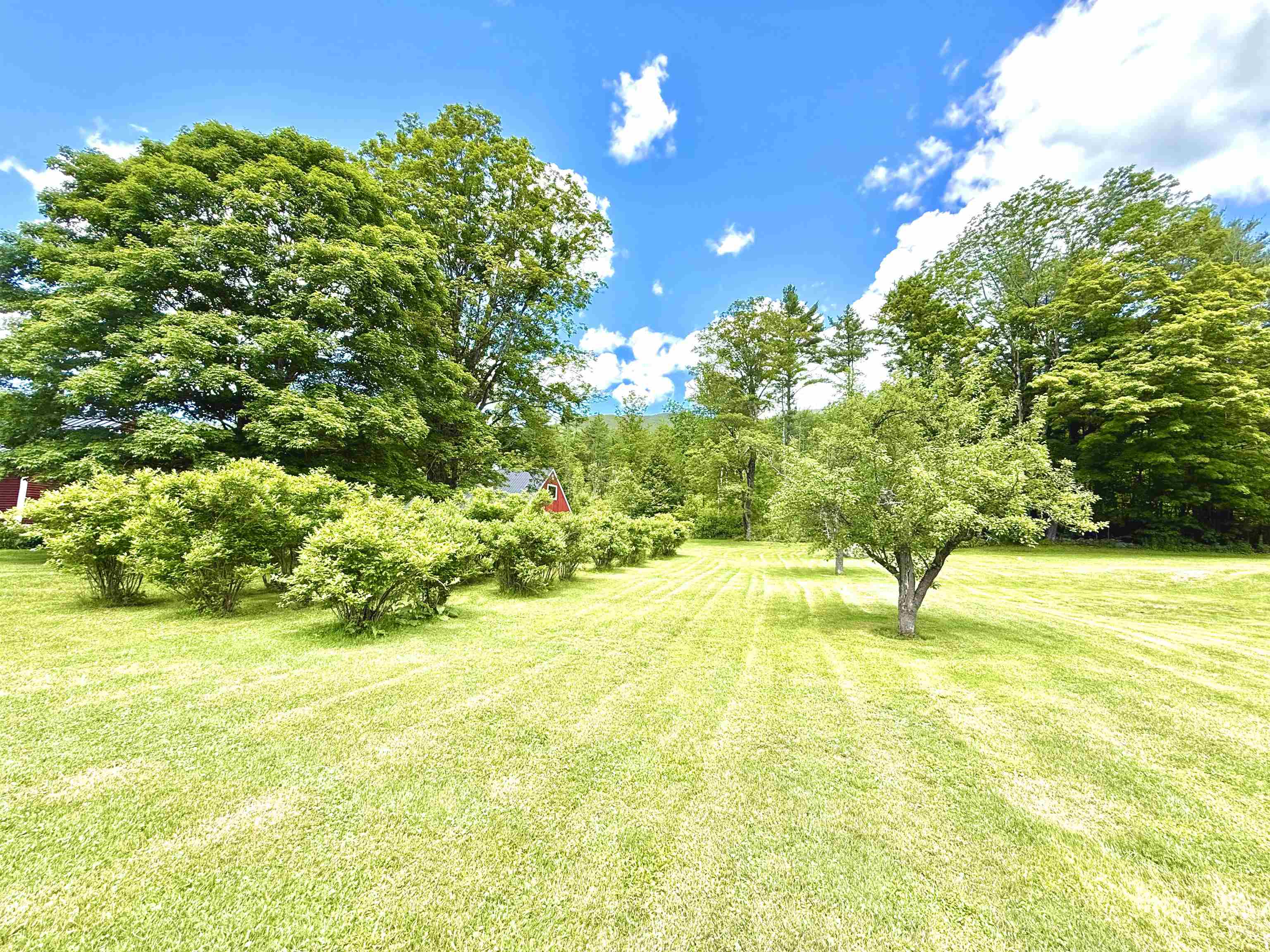 4205 Route 131 Property Photo 33