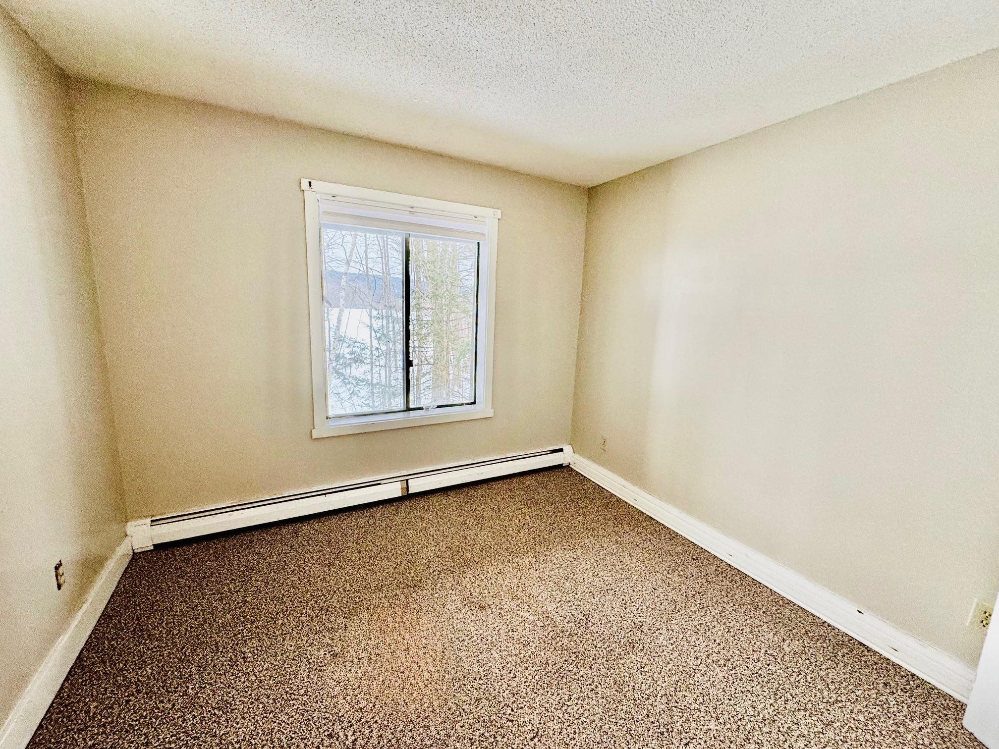 445 Old Quechee Road Property Photo 11