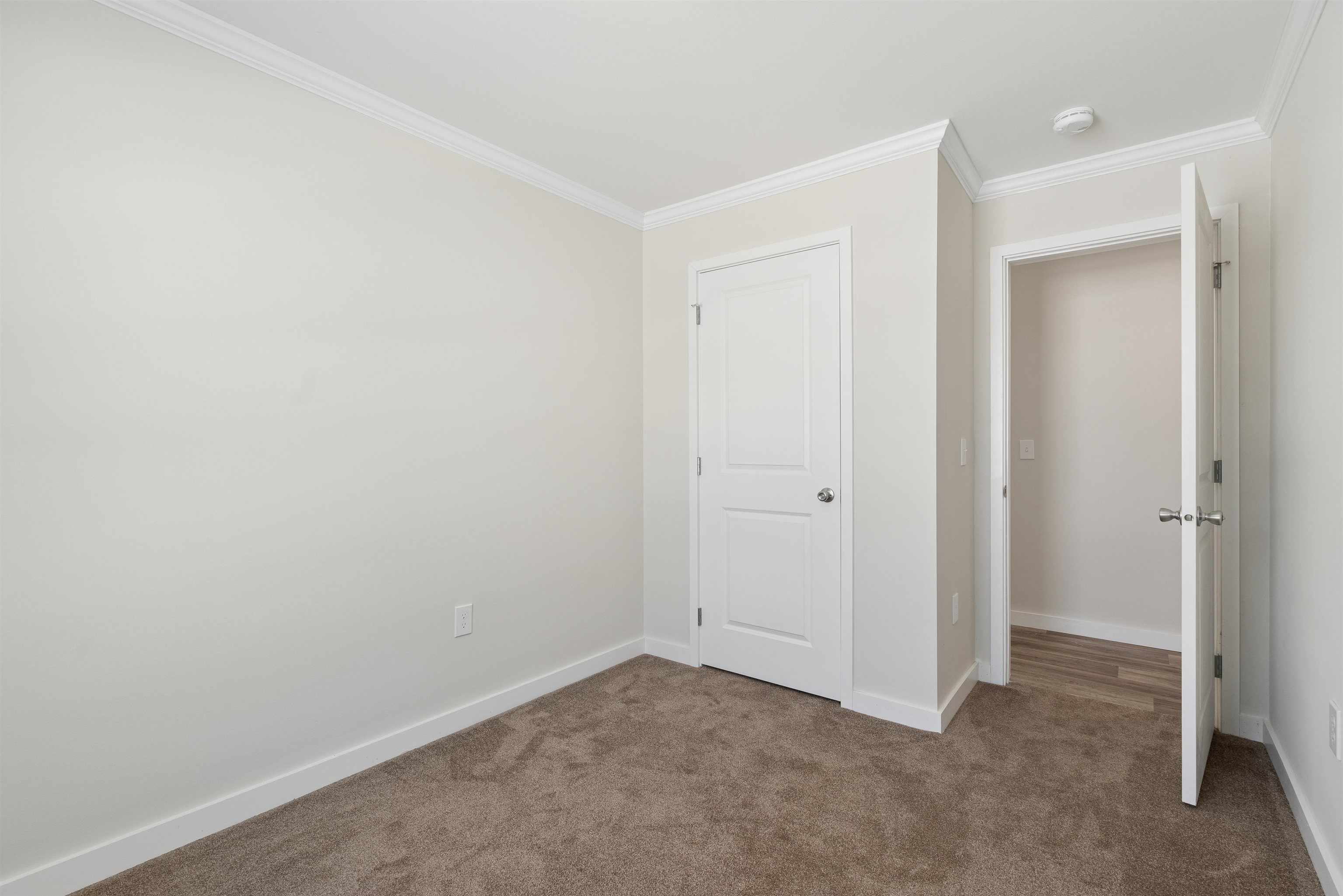 169 Butternut Road Property Photo 17