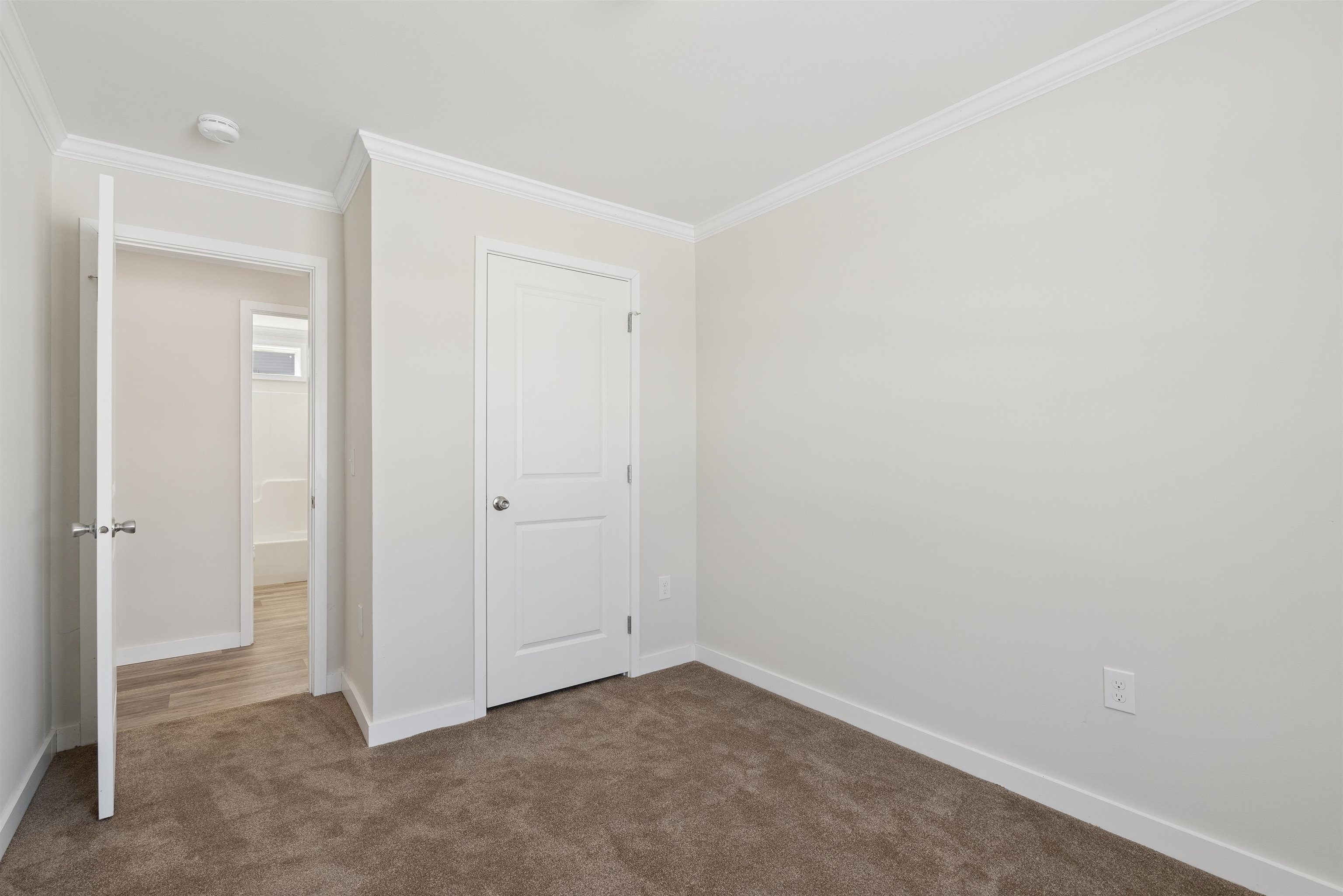 169 Butternut Road Property Photo 19