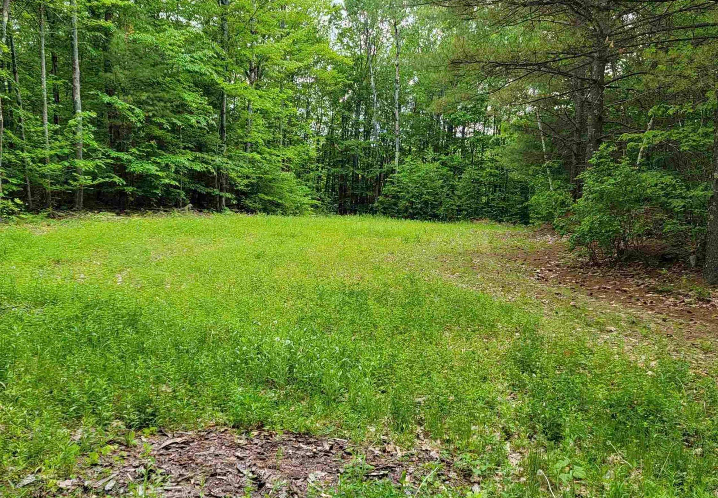 1195 Bennington Road Property Photo 1