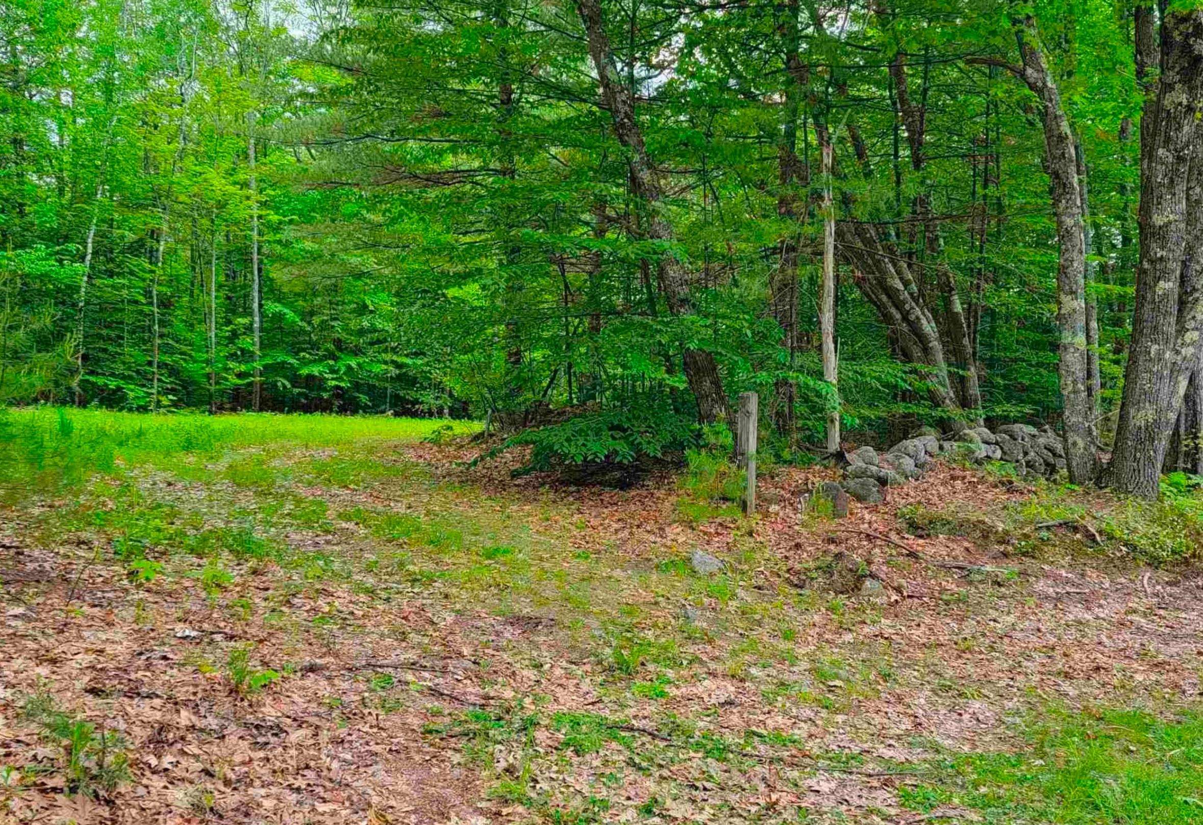 1195 Bennington Road Property Photo 2
