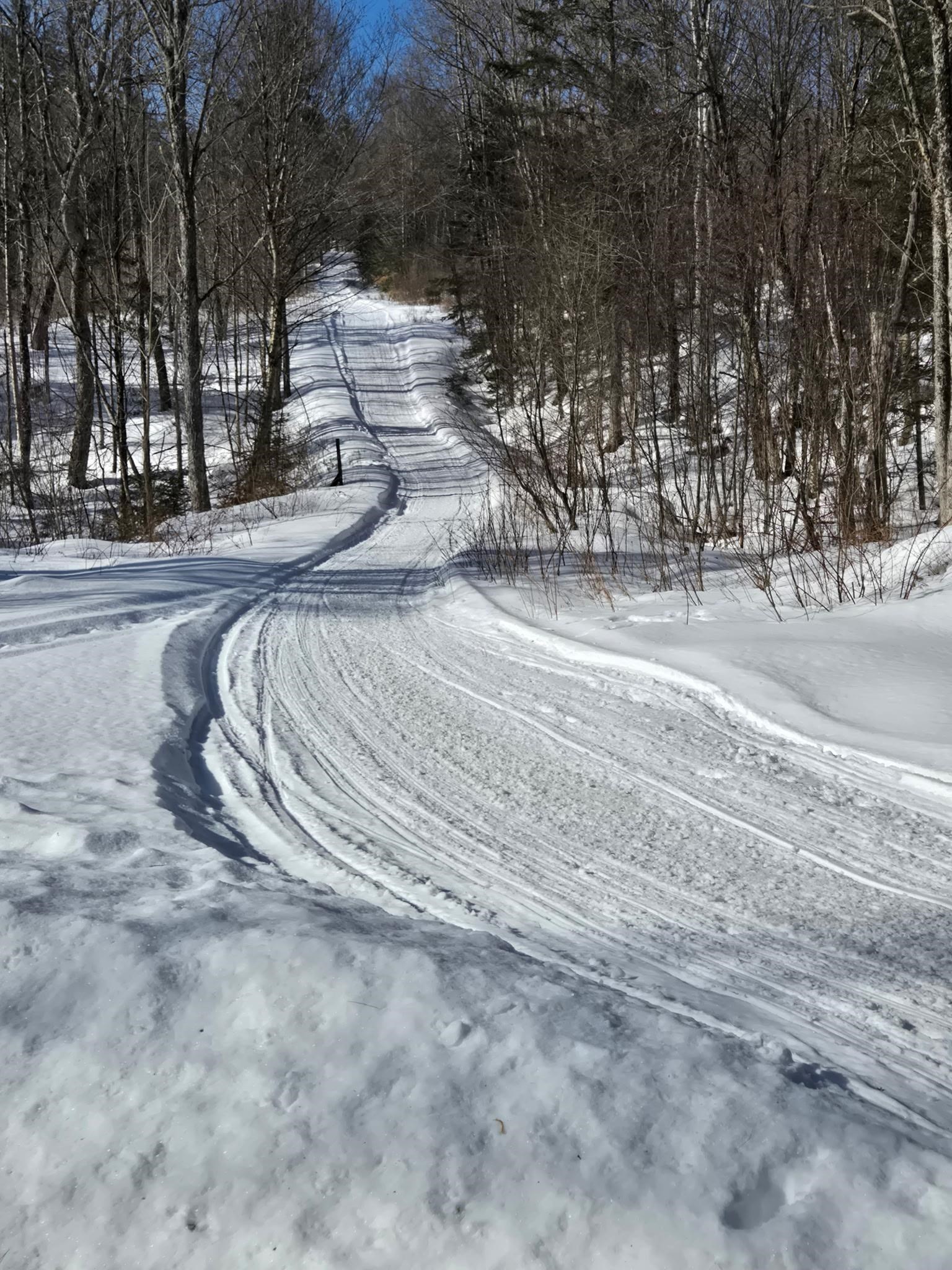 374 Crank Road Property Photo 6
