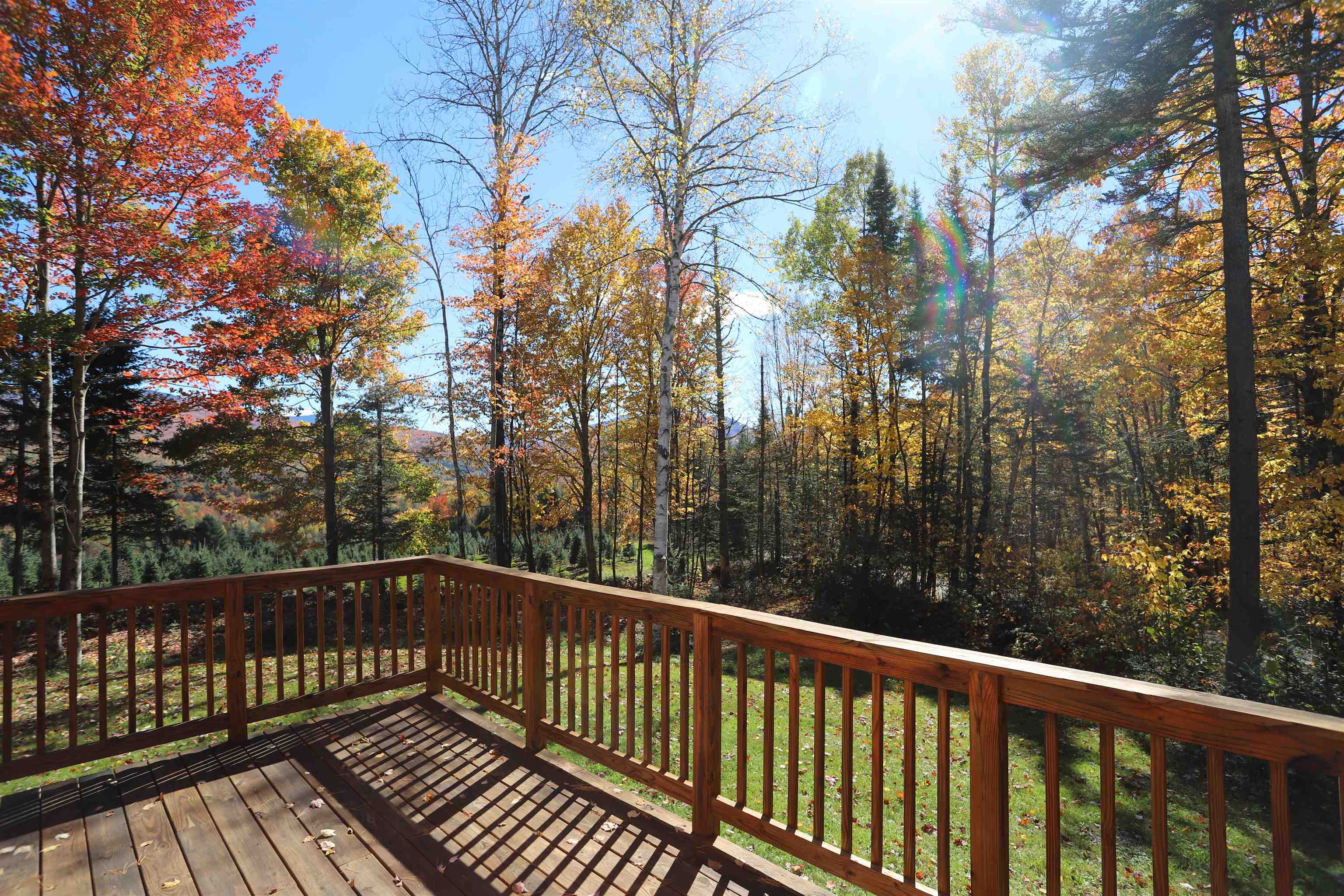 374 Crank Road Property Photo 17