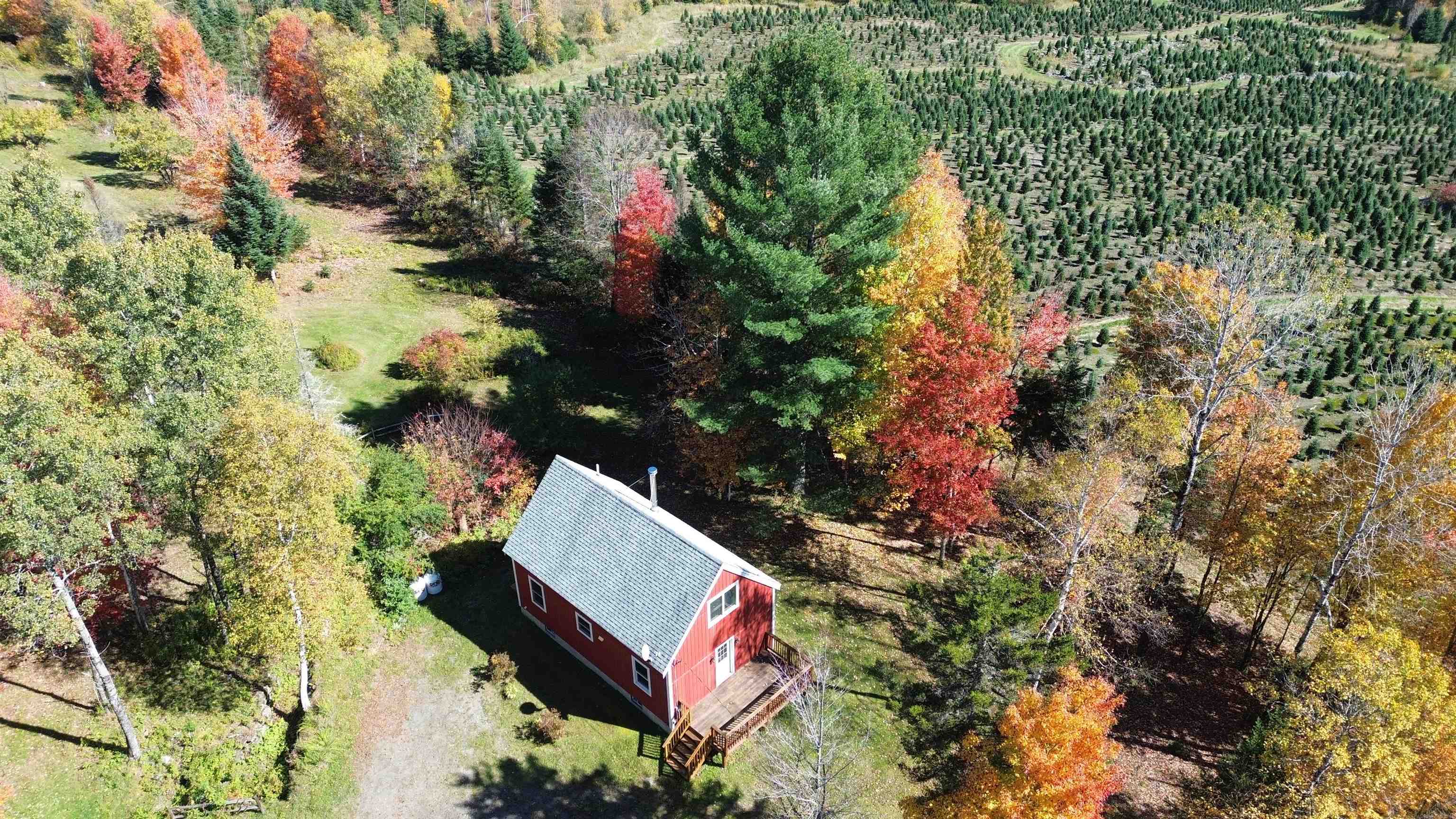 374 Crank Road Property Photo 20