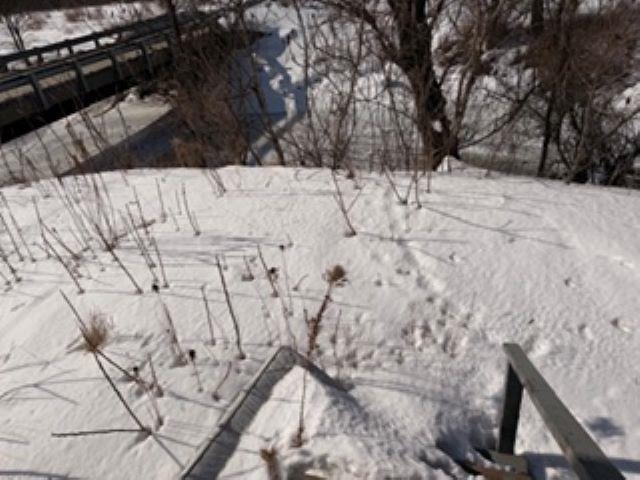 52 Welton Road Property Photo 16