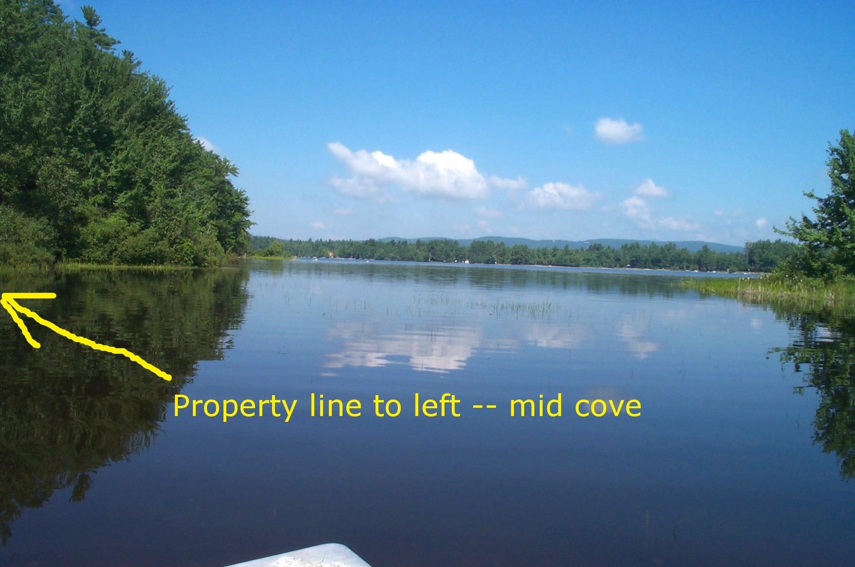 Camp Road Property Photo 4