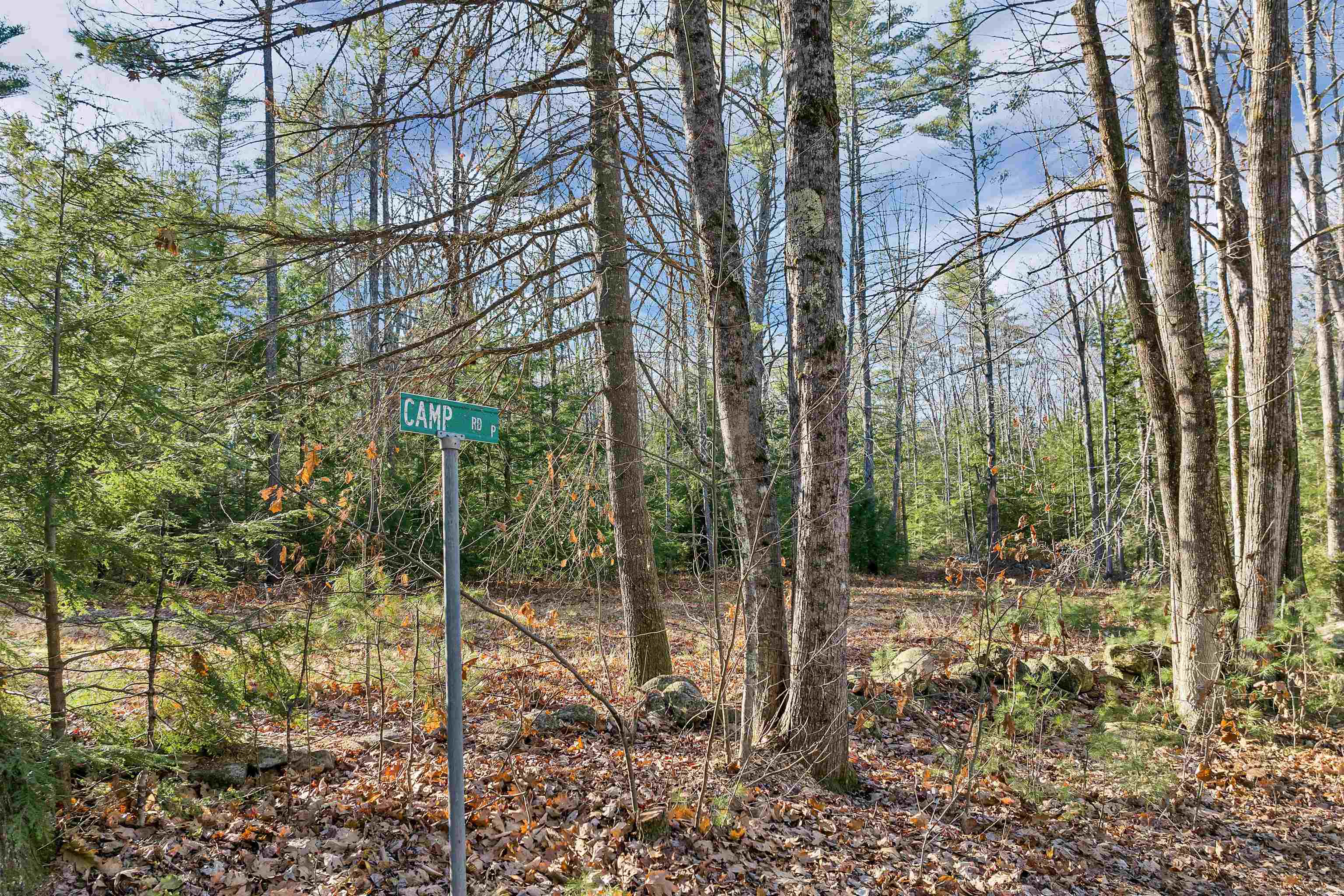 Camp Road Property Photo 13