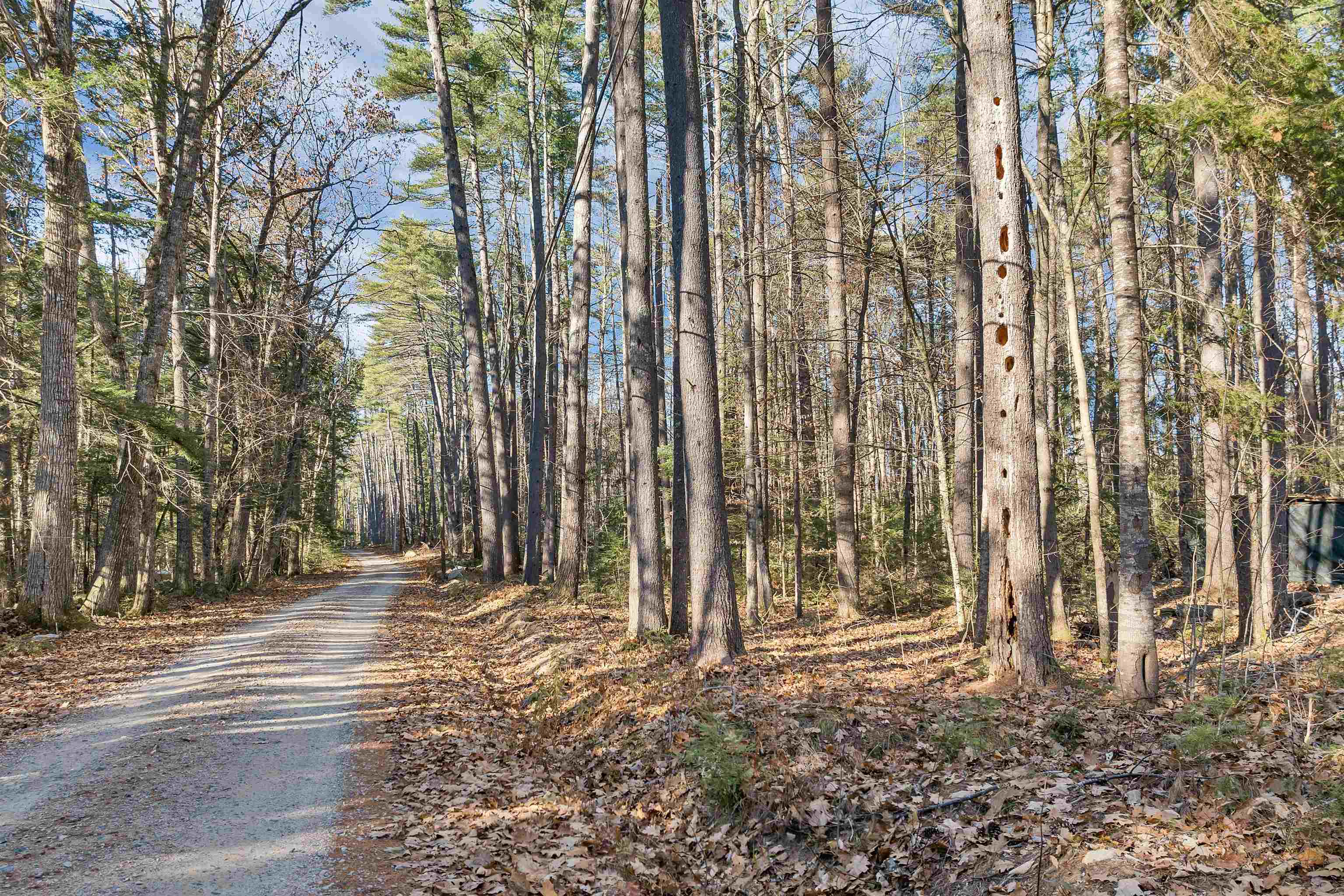 Camp Road Property Photo 14