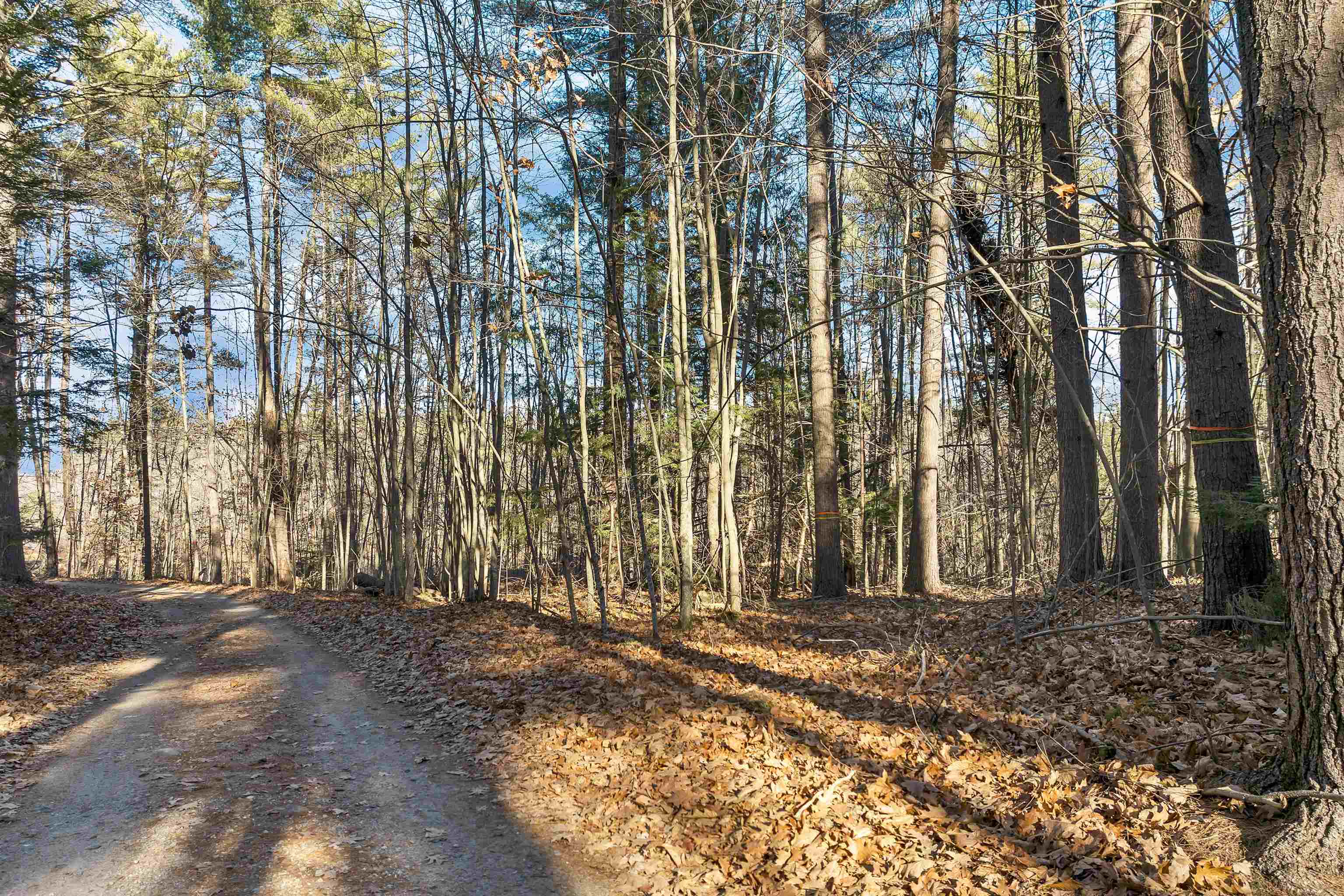 Camp Road Property Photo 16
