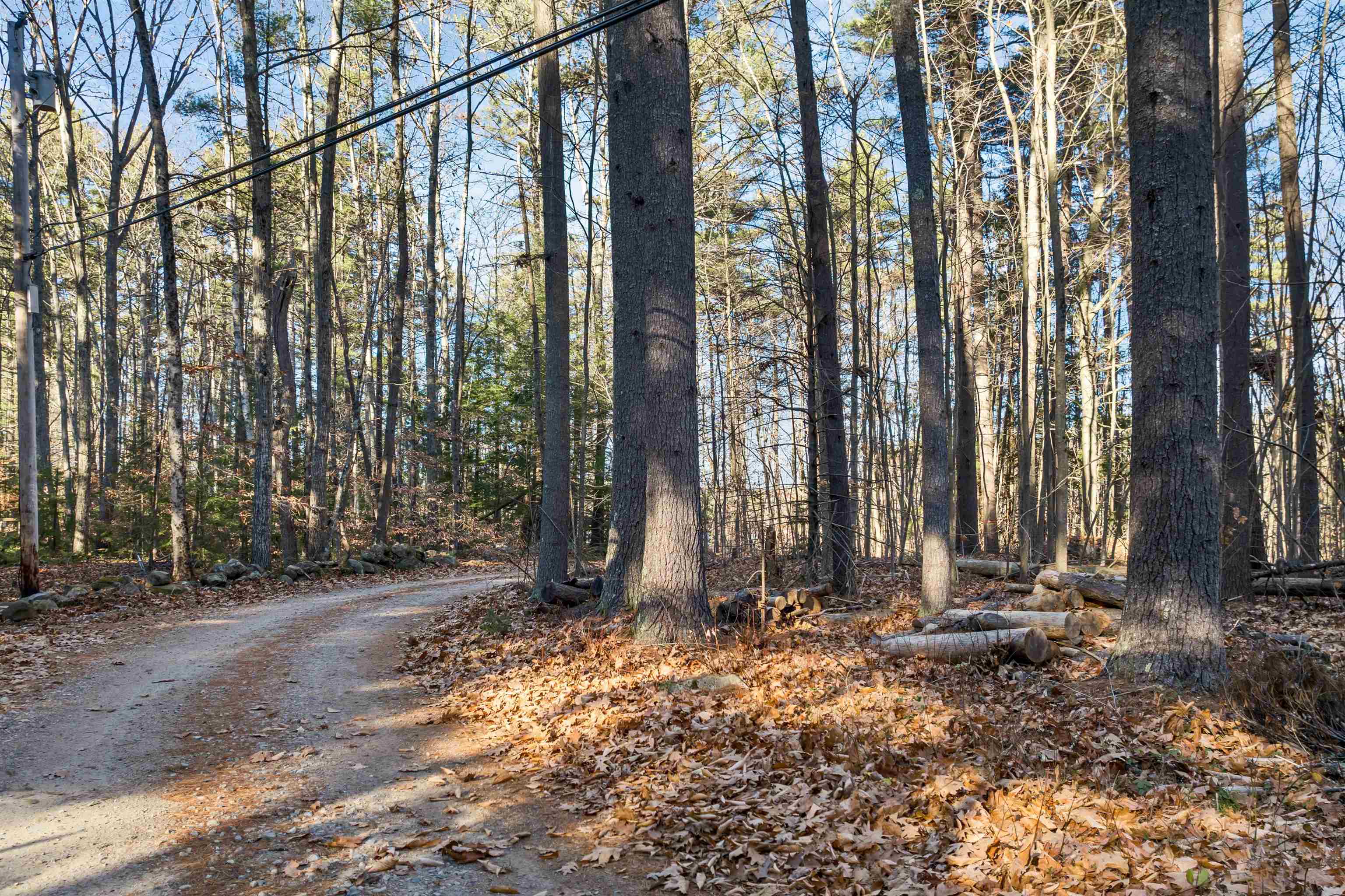 Camp Road Property Photo 17