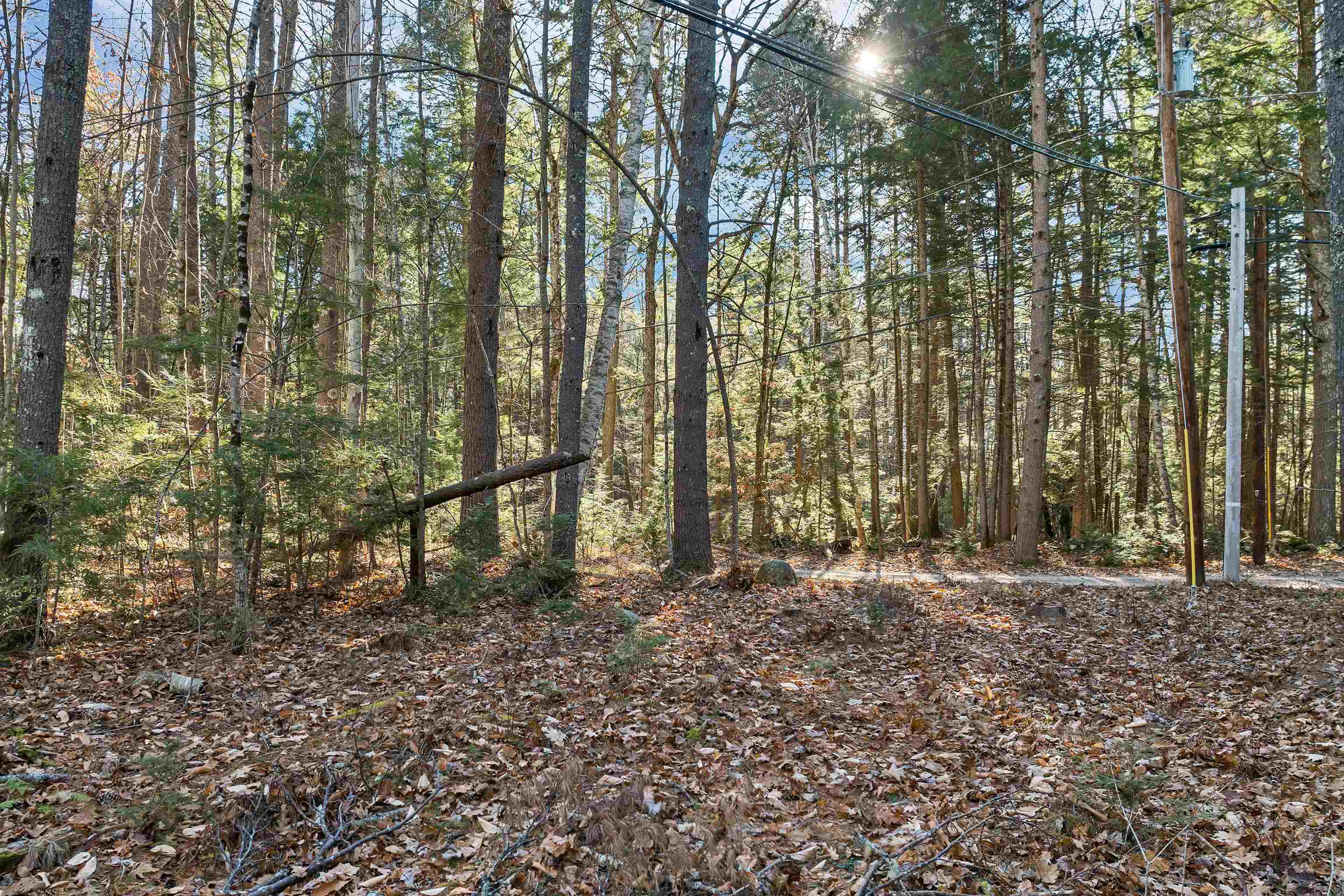 Camp Road Property Photo 18