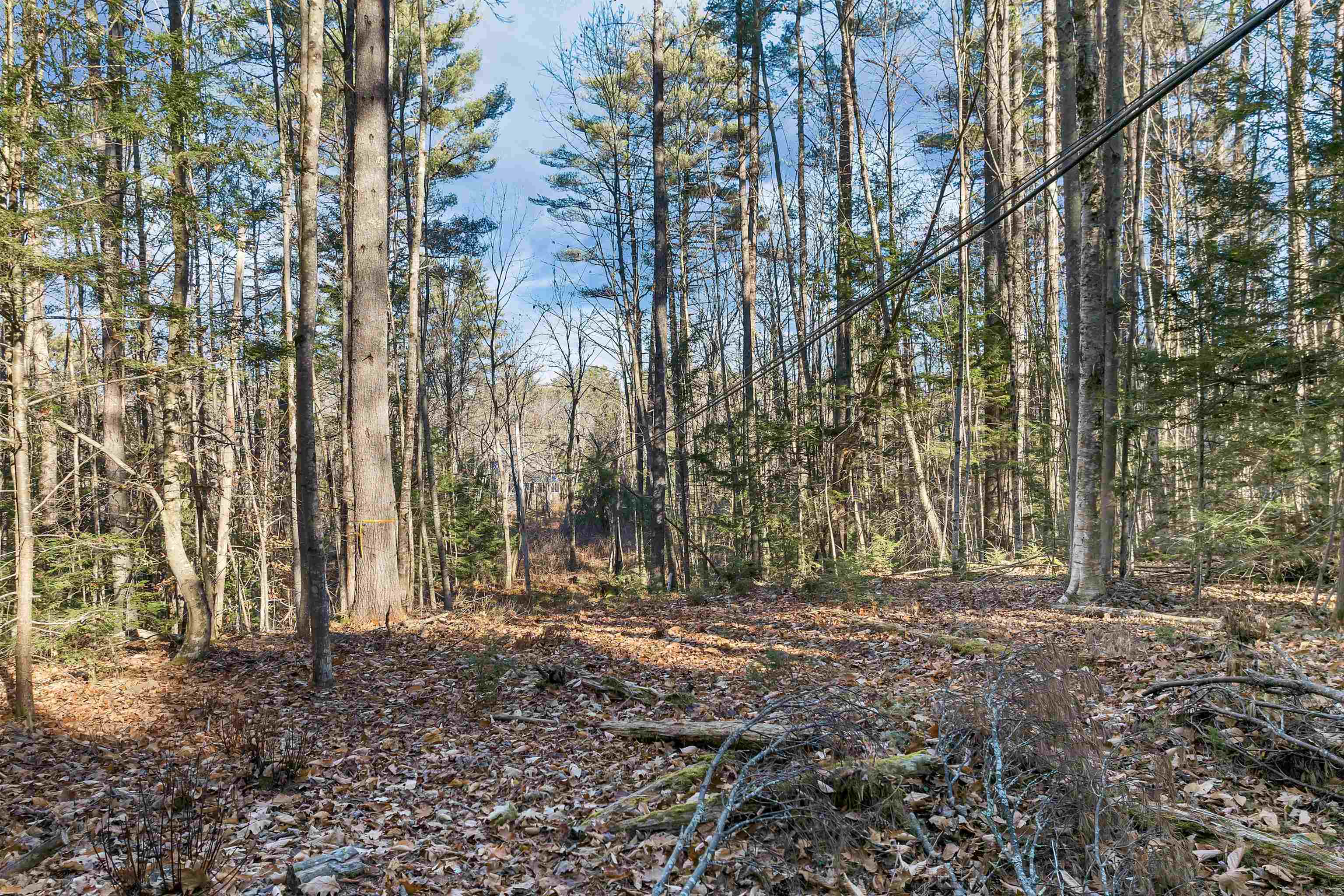 Camp Road Property Photo 19