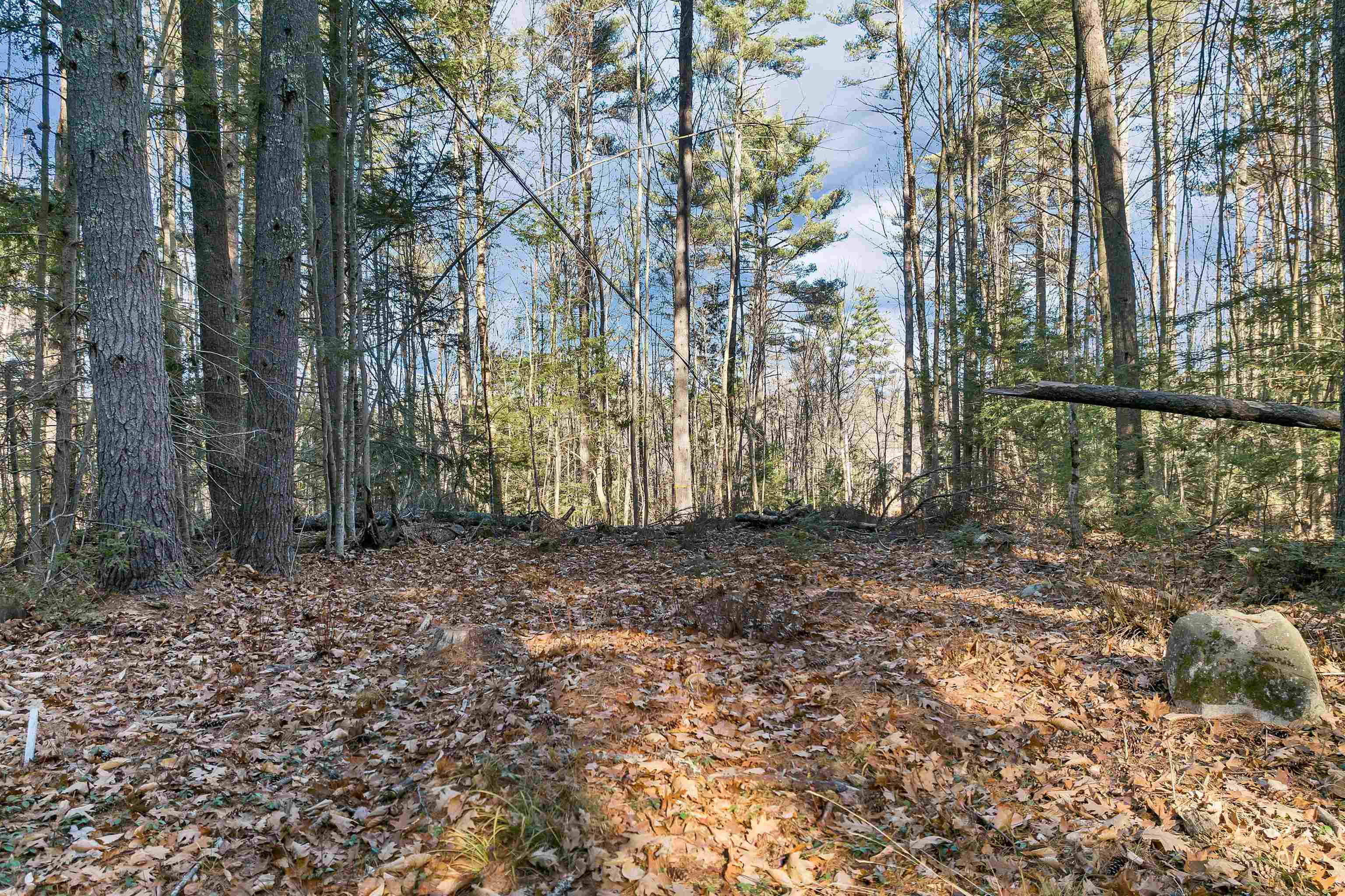 Camp Road Property Photo 20