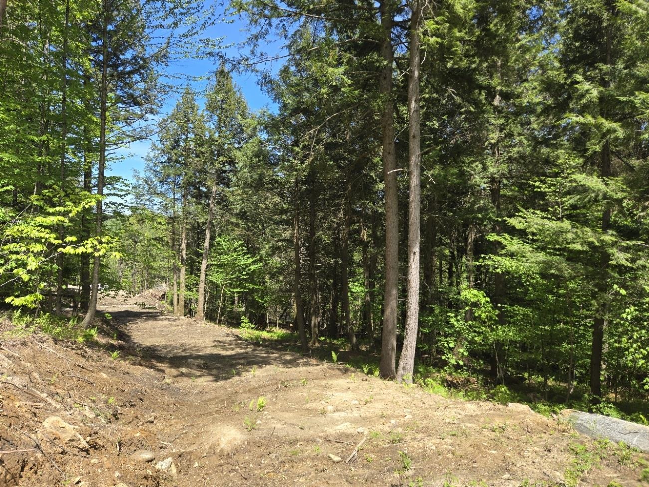 00 Vt Rte 12 Property Photo 4