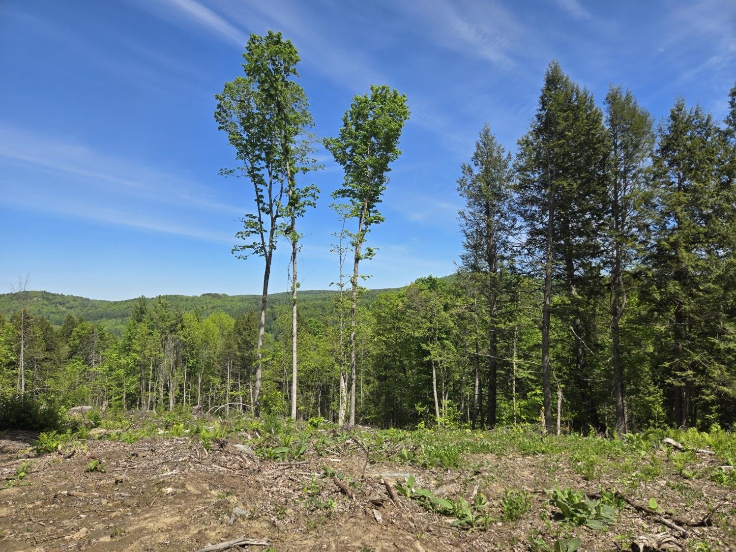 00 Vt Rte 12 Property Photo 6
