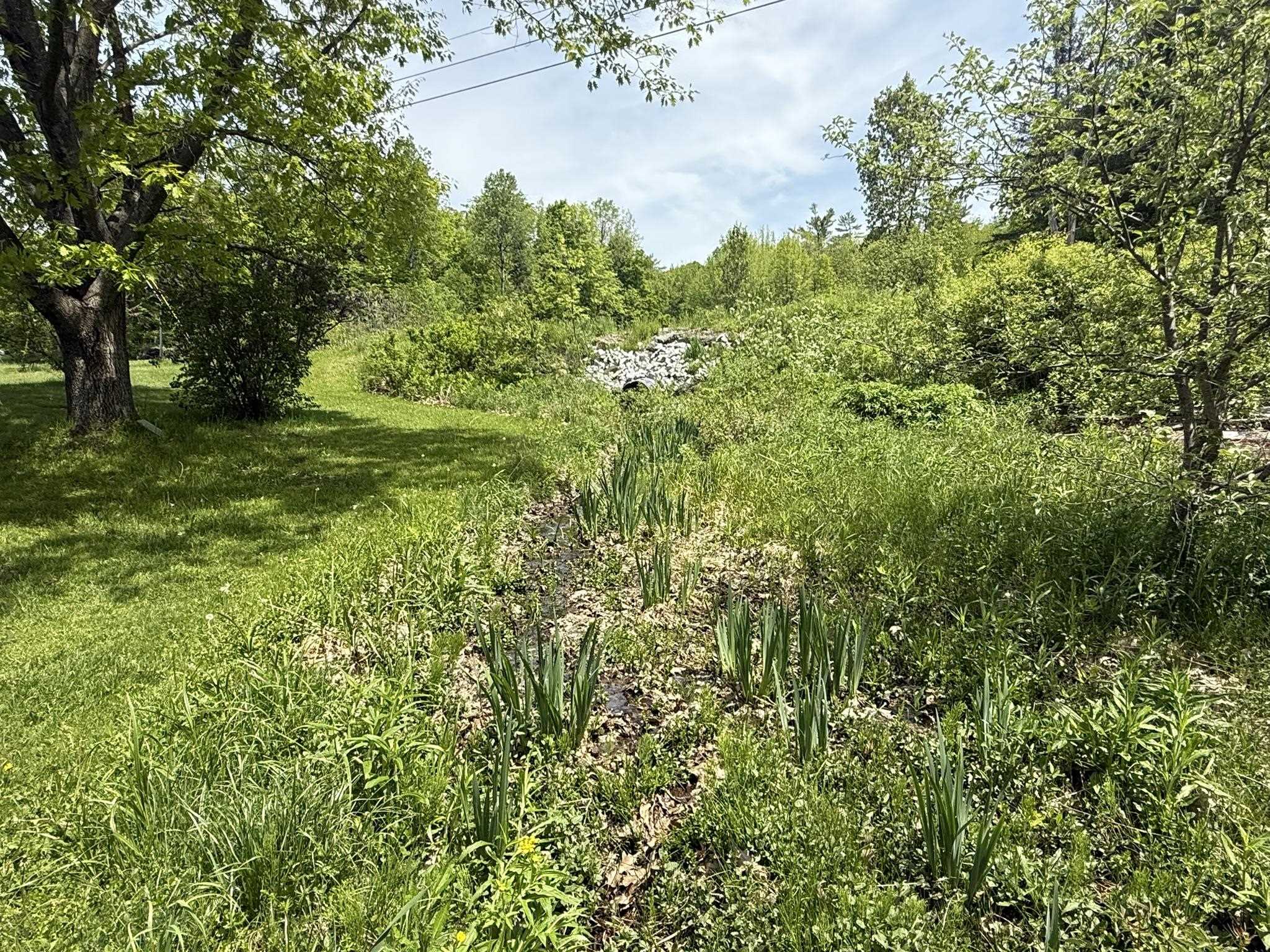68 Gilbert Road Property Photo 25