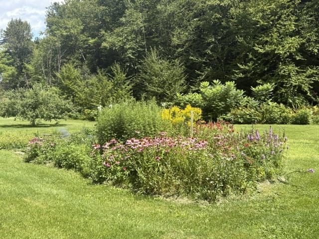 1821 Chateauguay Road Property Photo 45