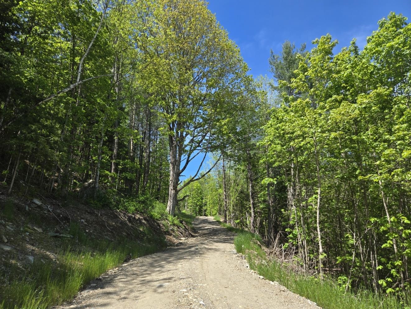 00 Vt Rte 12 Property Photo 2