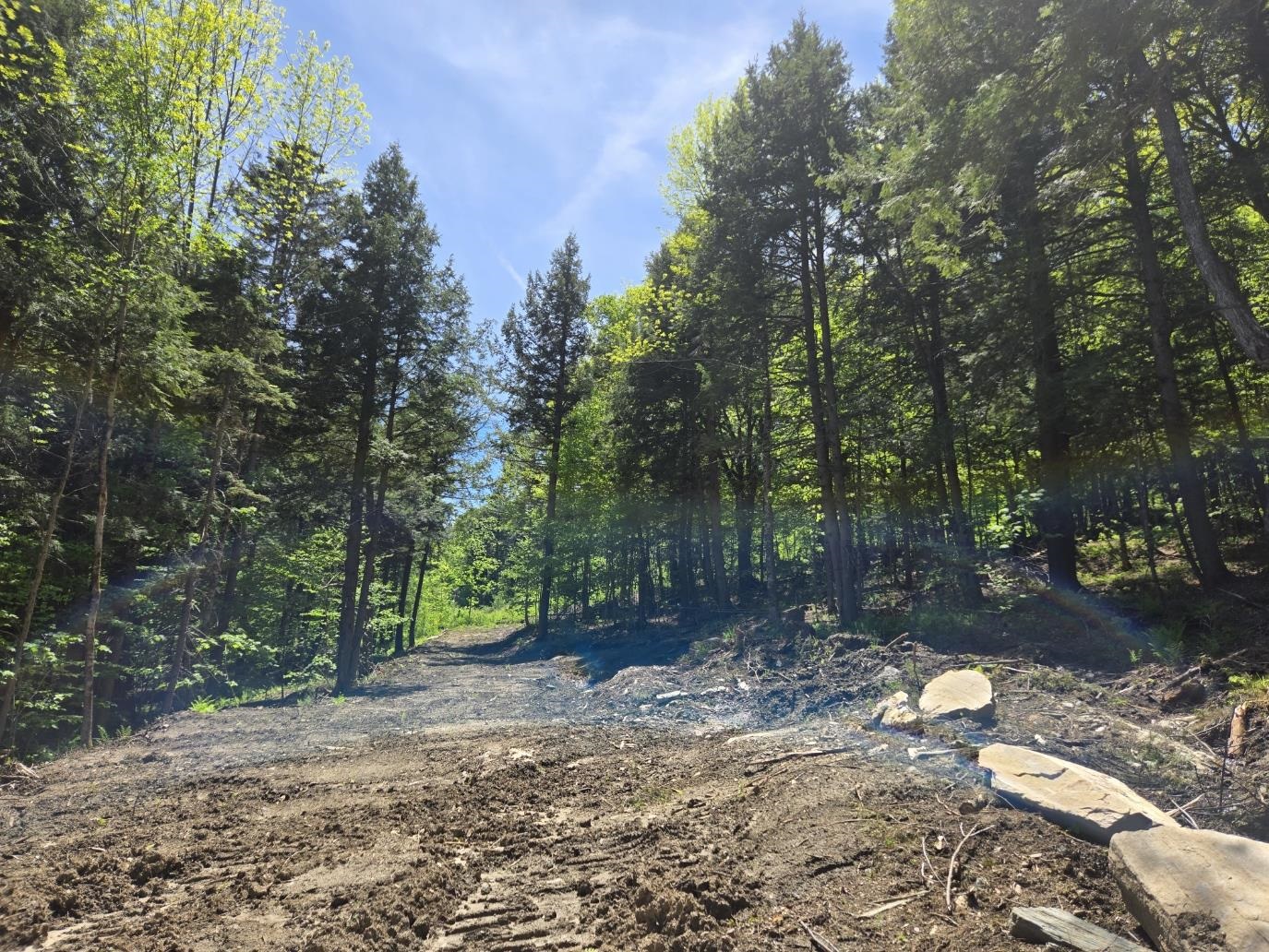 00 Vt Rte 12 Property Photo 5