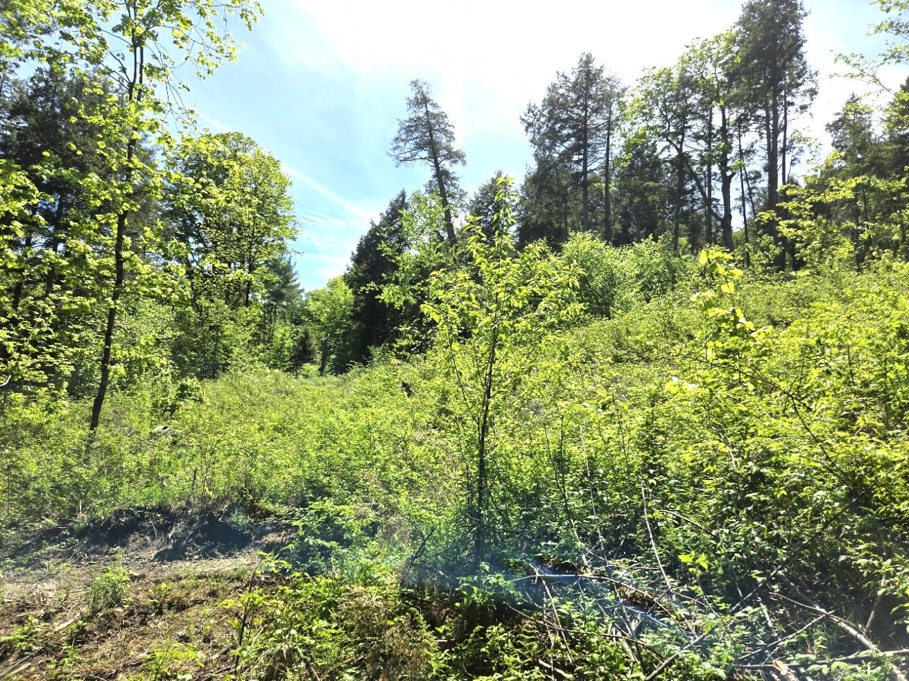 00 Vt Rte 12 Property Photo 7