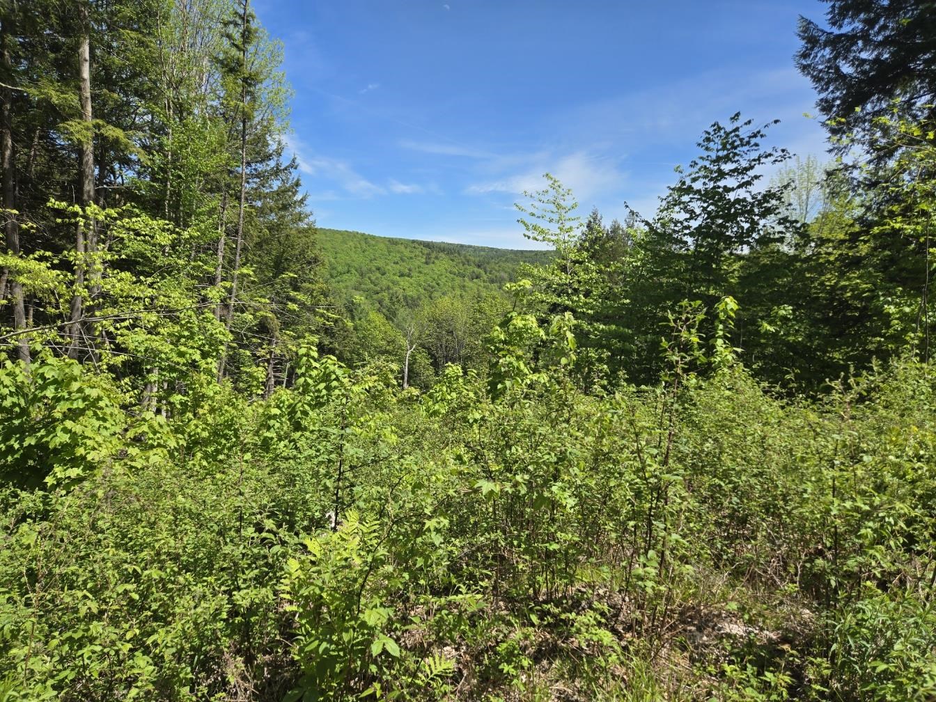 00 Vt Rte 12 Property Photo 8