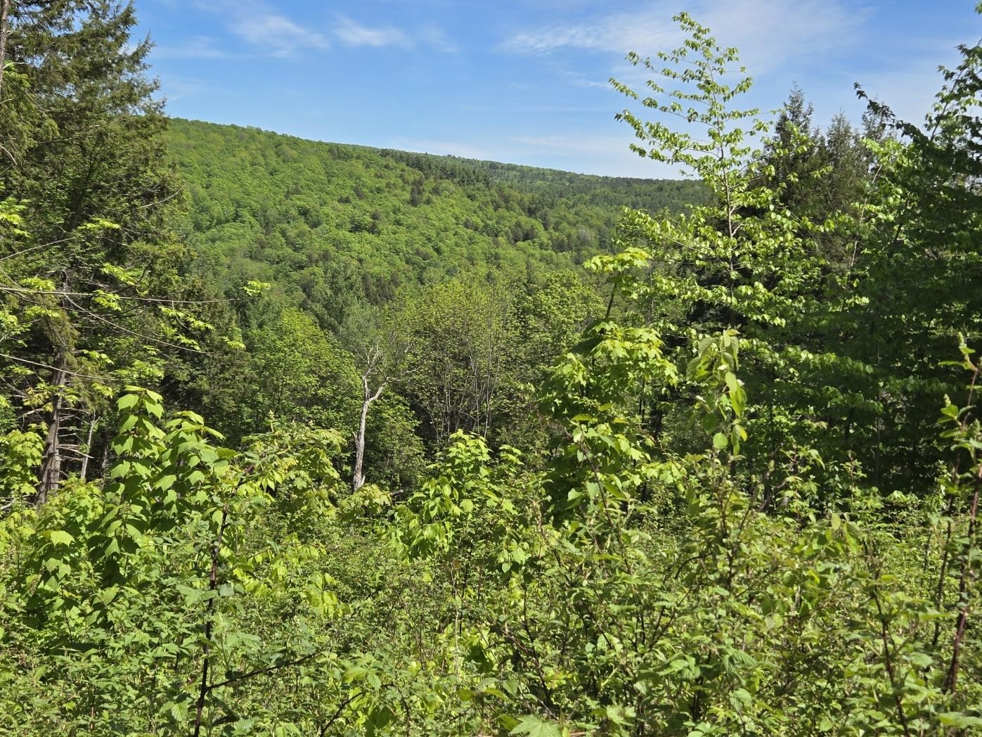 00 Vt Rte 12 Property Photo 9