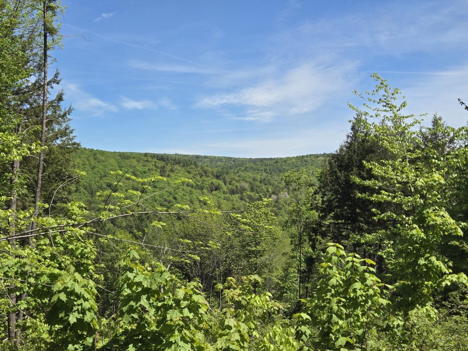 00 Vt Rte 12 Property Photo 11