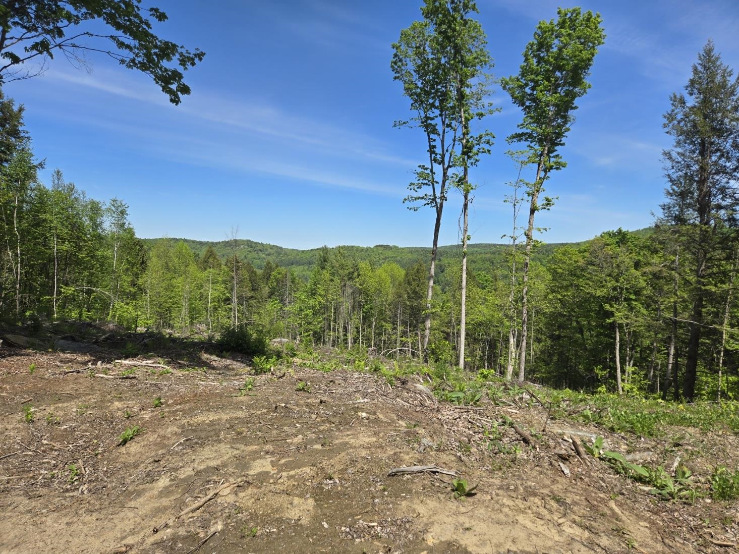 00 Vt Rte 12 Property Photo 13