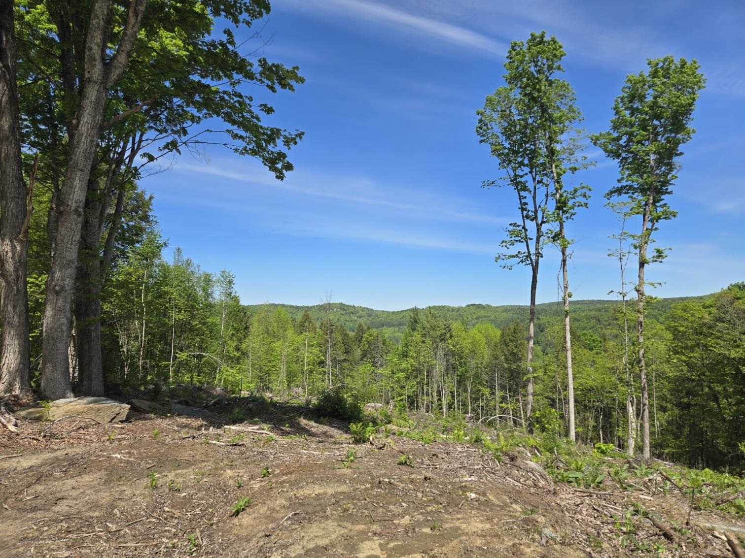 00 Vt Rte 12 Property Photo 15