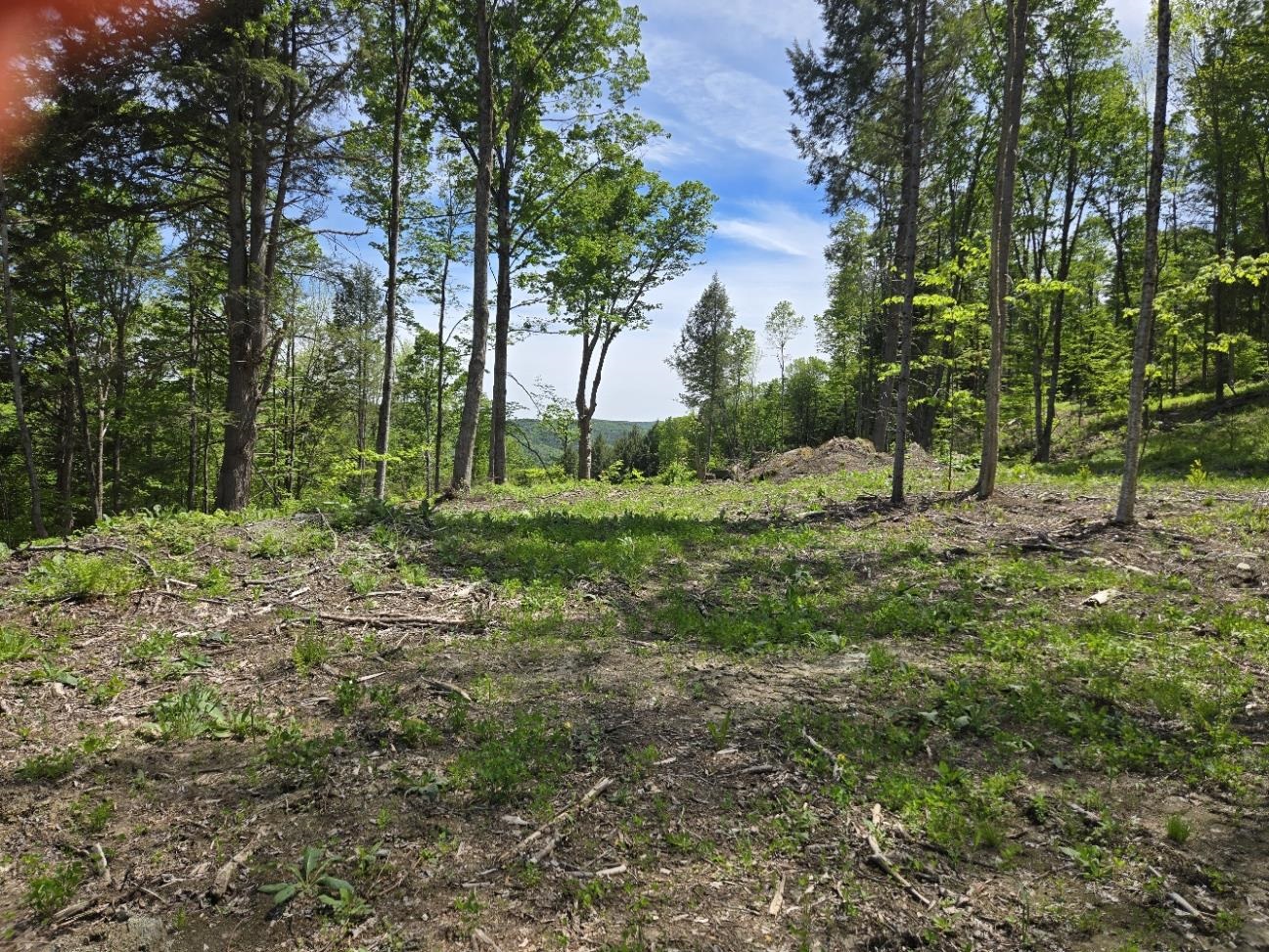 00 Vt Rte 12 Property Photo 16