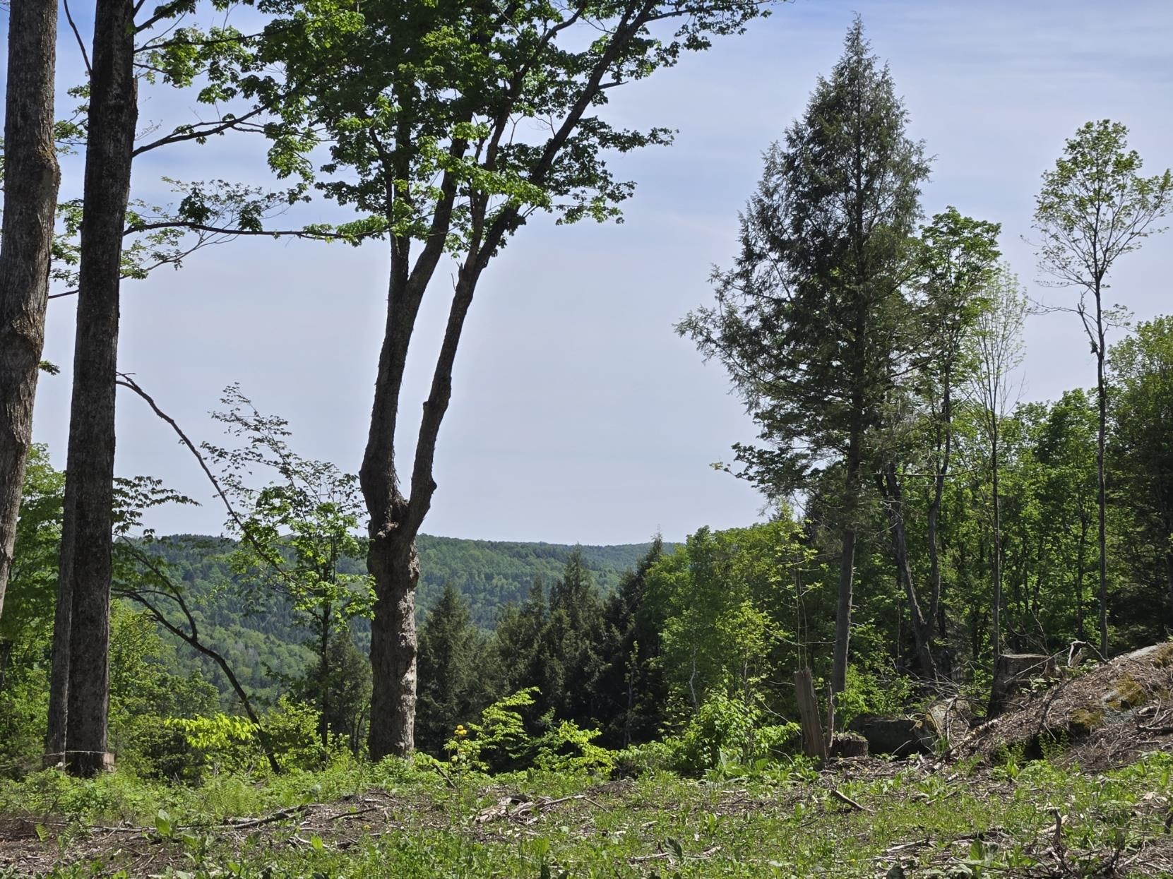 00 Vt Rte 12 Property Photo 17