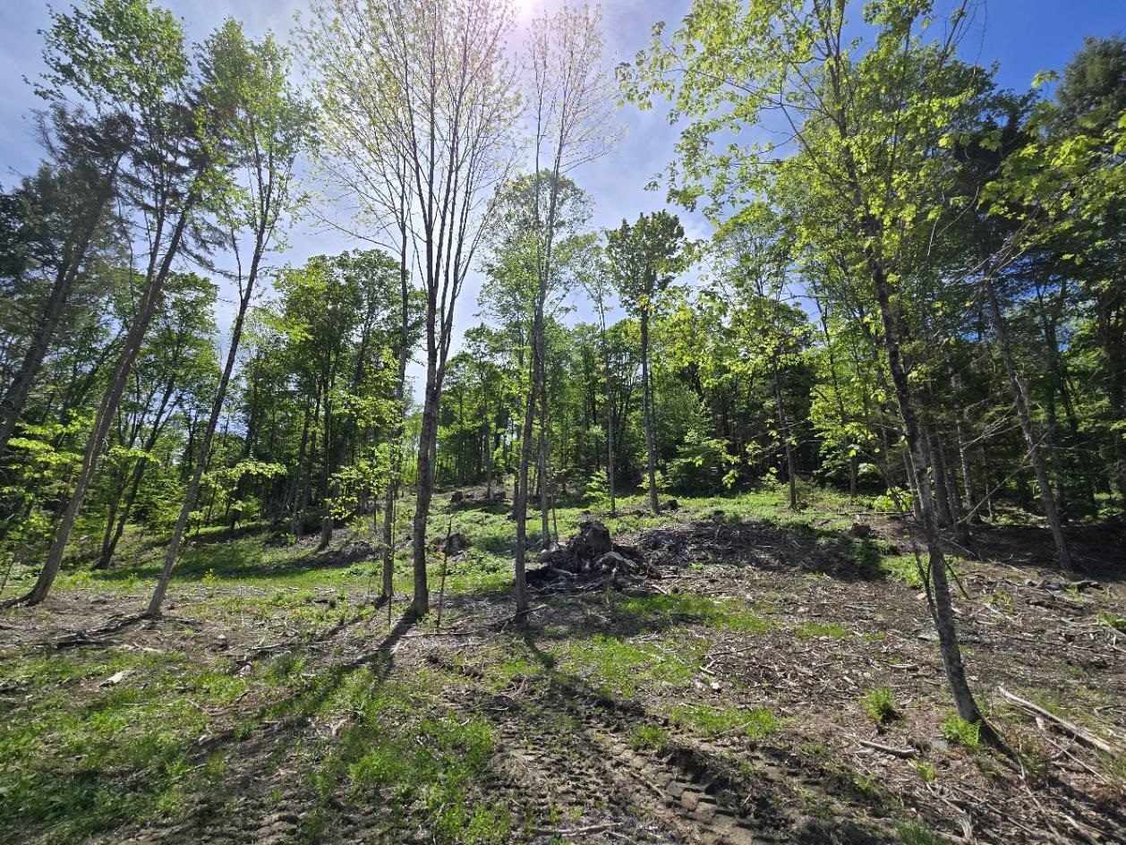 00 Vt Rte 12 Property Photo 18