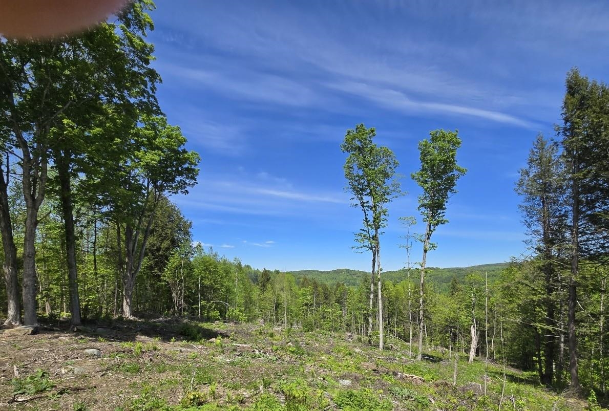 00 Vt Rte 12 Property Photo 19